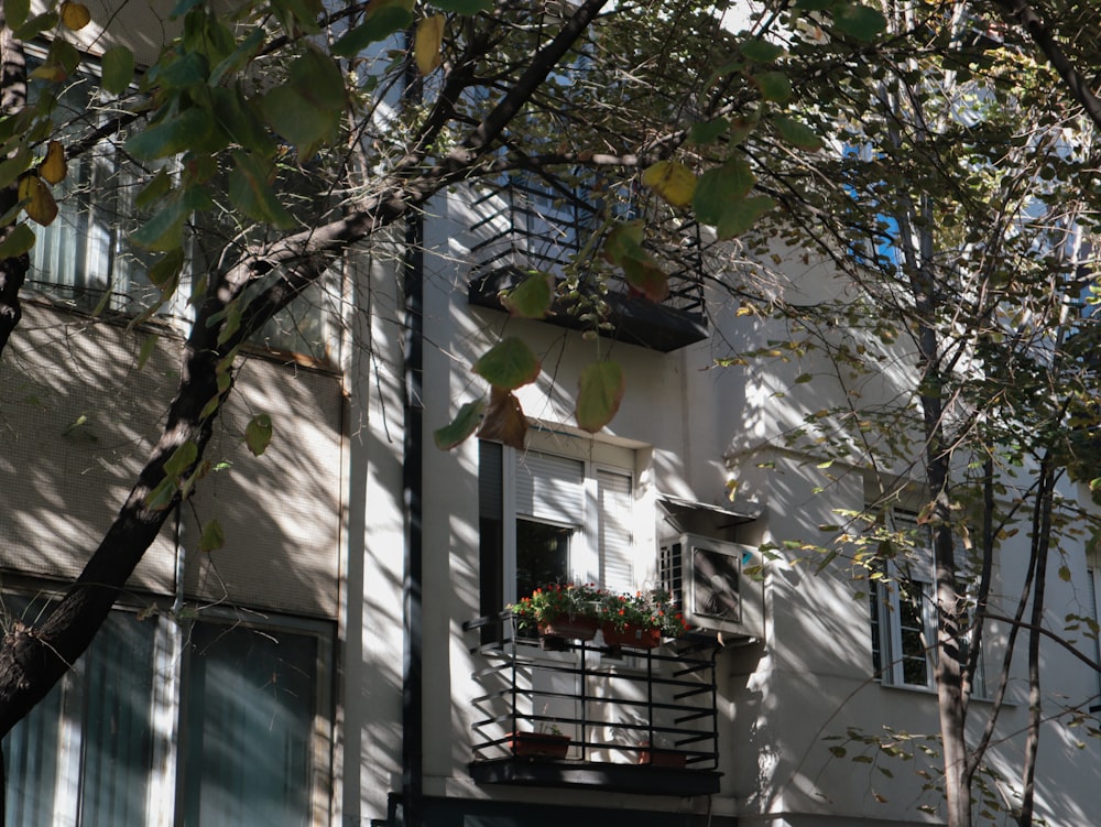 a building with a balcony and a tree in front of it