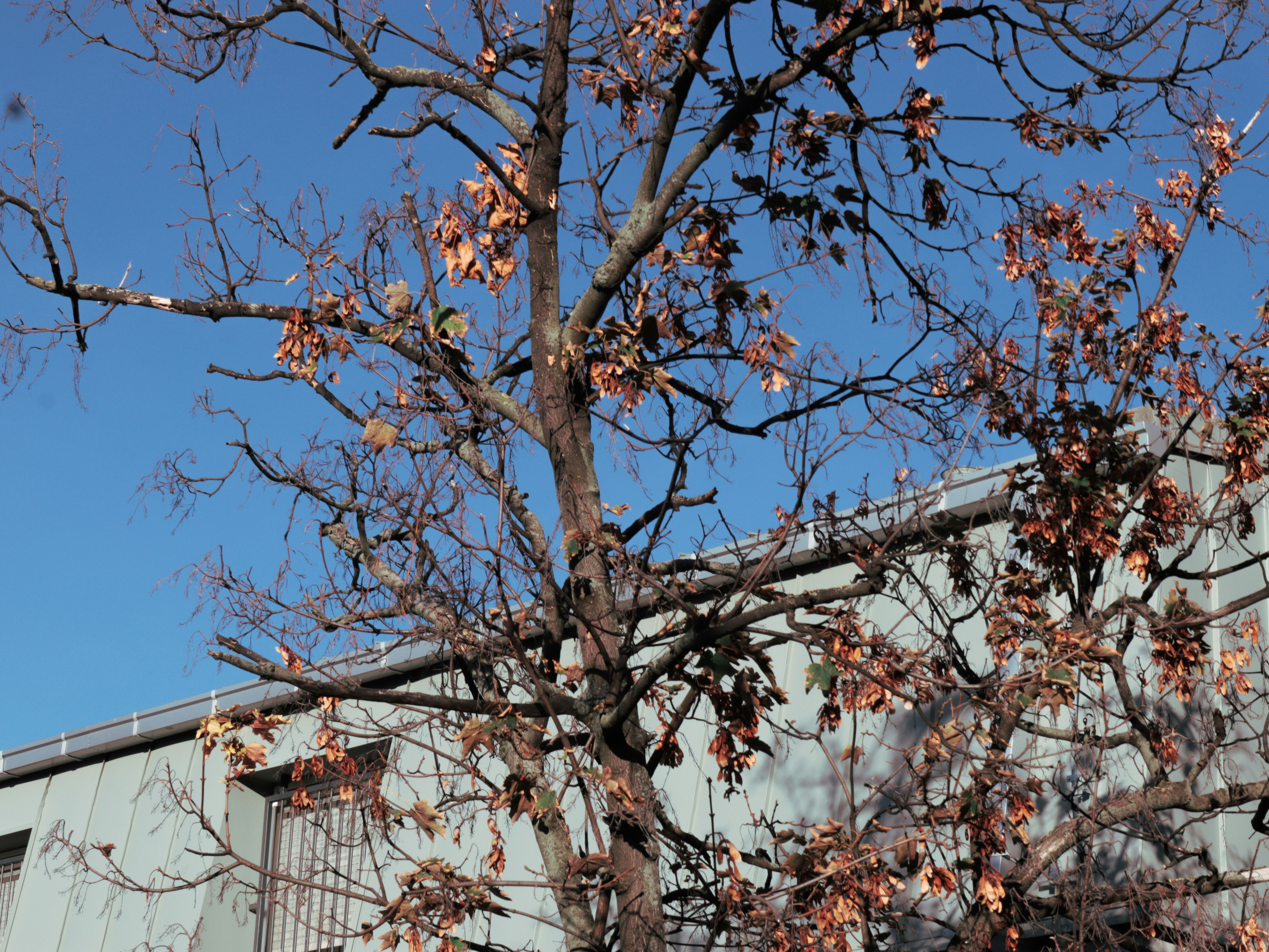 Photo by kristinalenberg