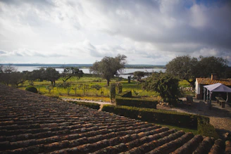 Rural estate managed by Host In with landscaped gardens and natural surroundings