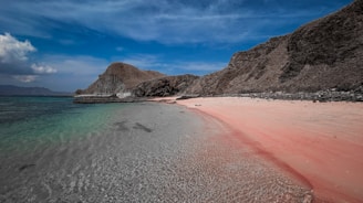 a beach with a pink sand and a mountain in the background