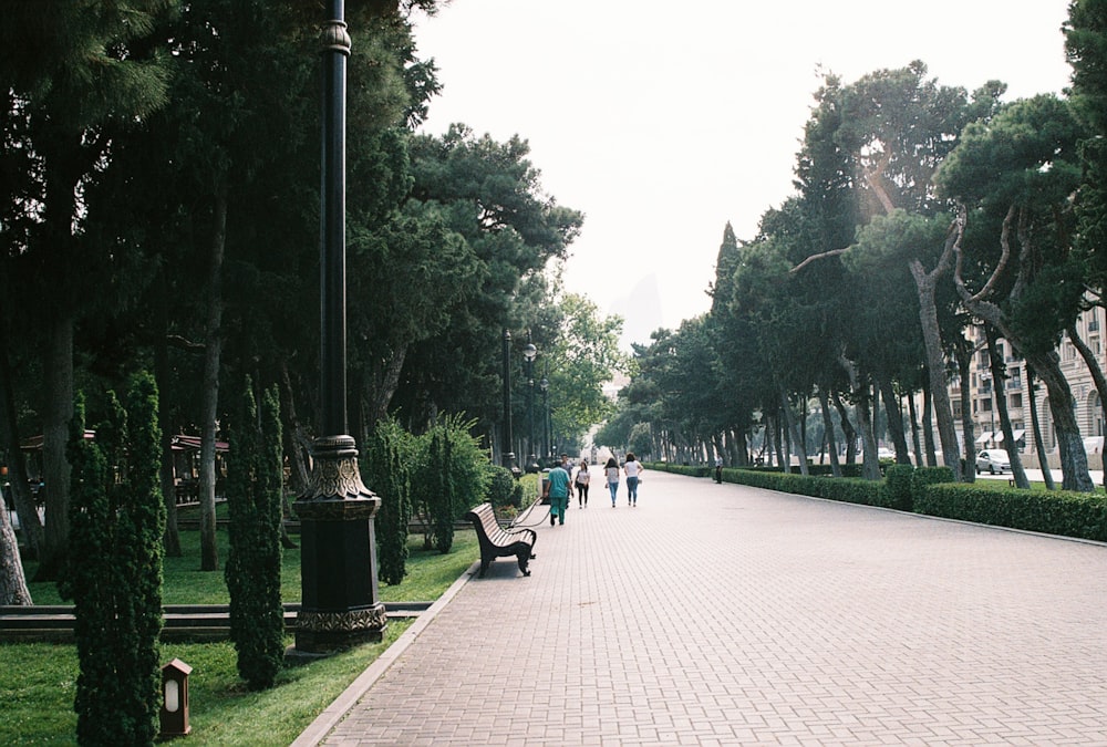 a group of people walking down a sidewalk next to trees