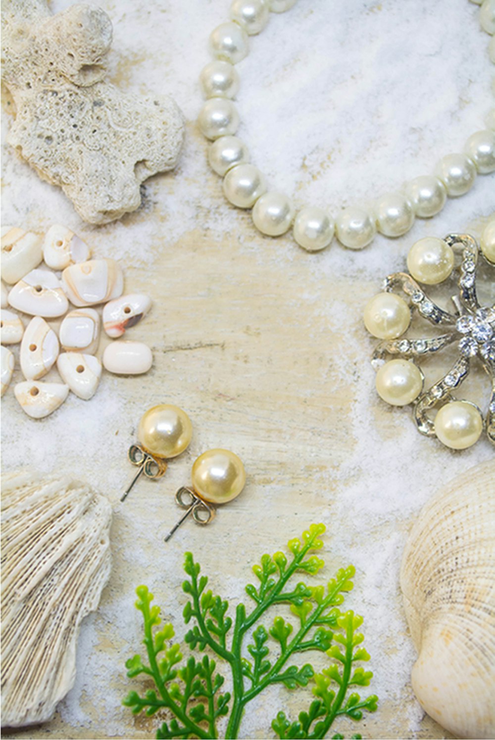 a collection of seashells, pearls, and seaweed