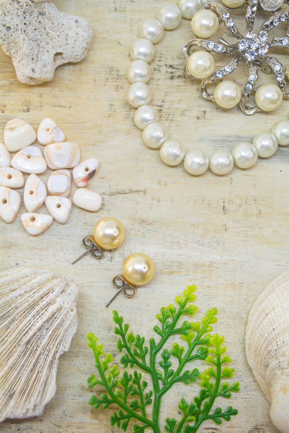 a bunch of sea shells and seaweed on a table