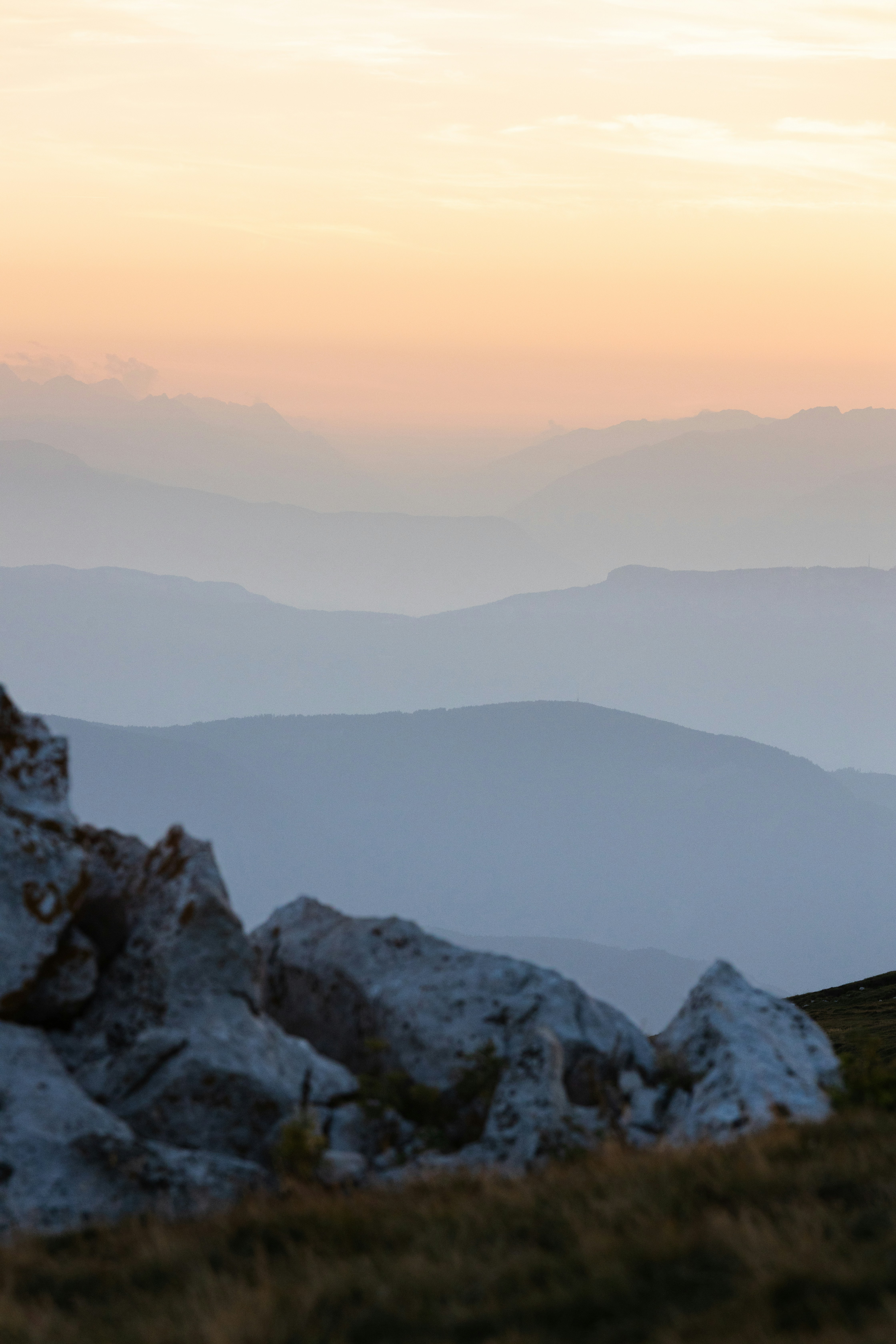 a sheep standing on top of a grass covered hillside