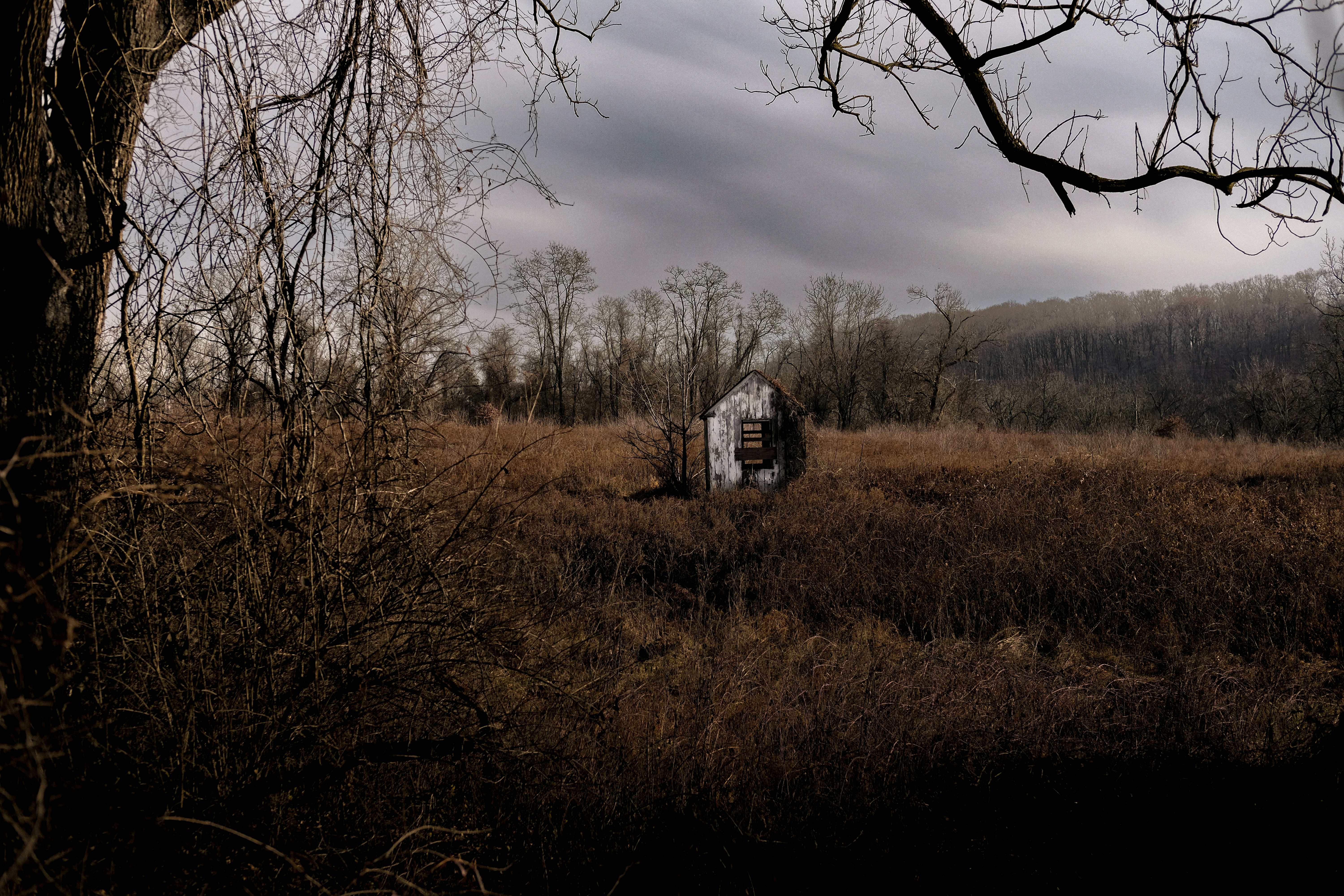 Photo by aylameinberg