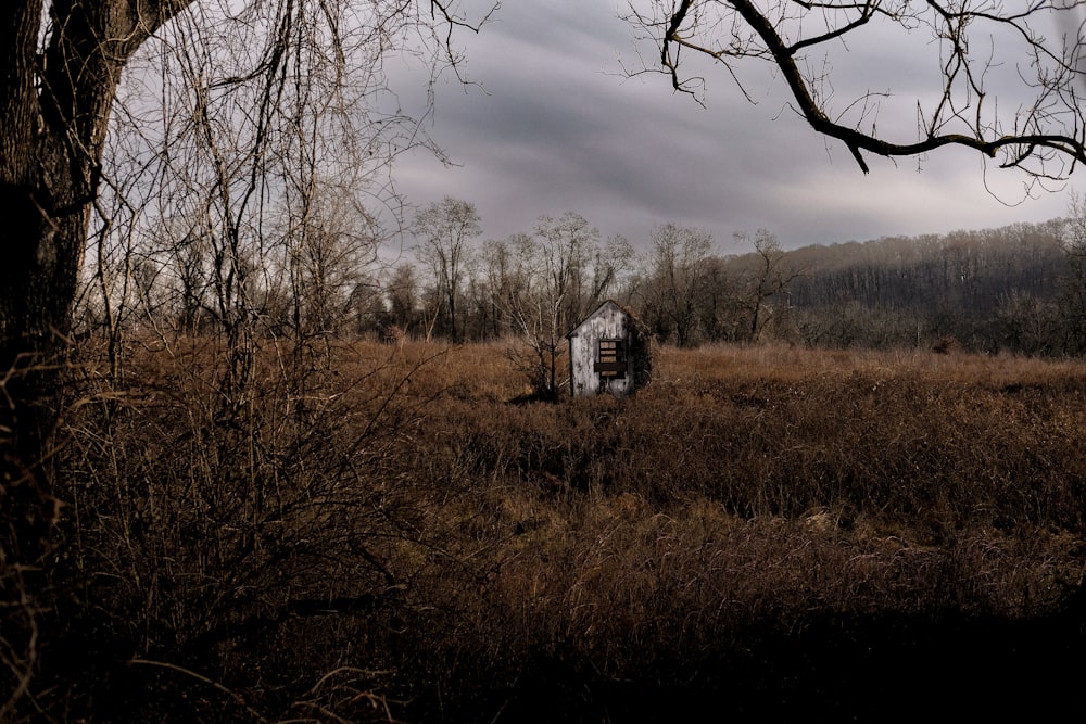 an abandoned building in a field with trees