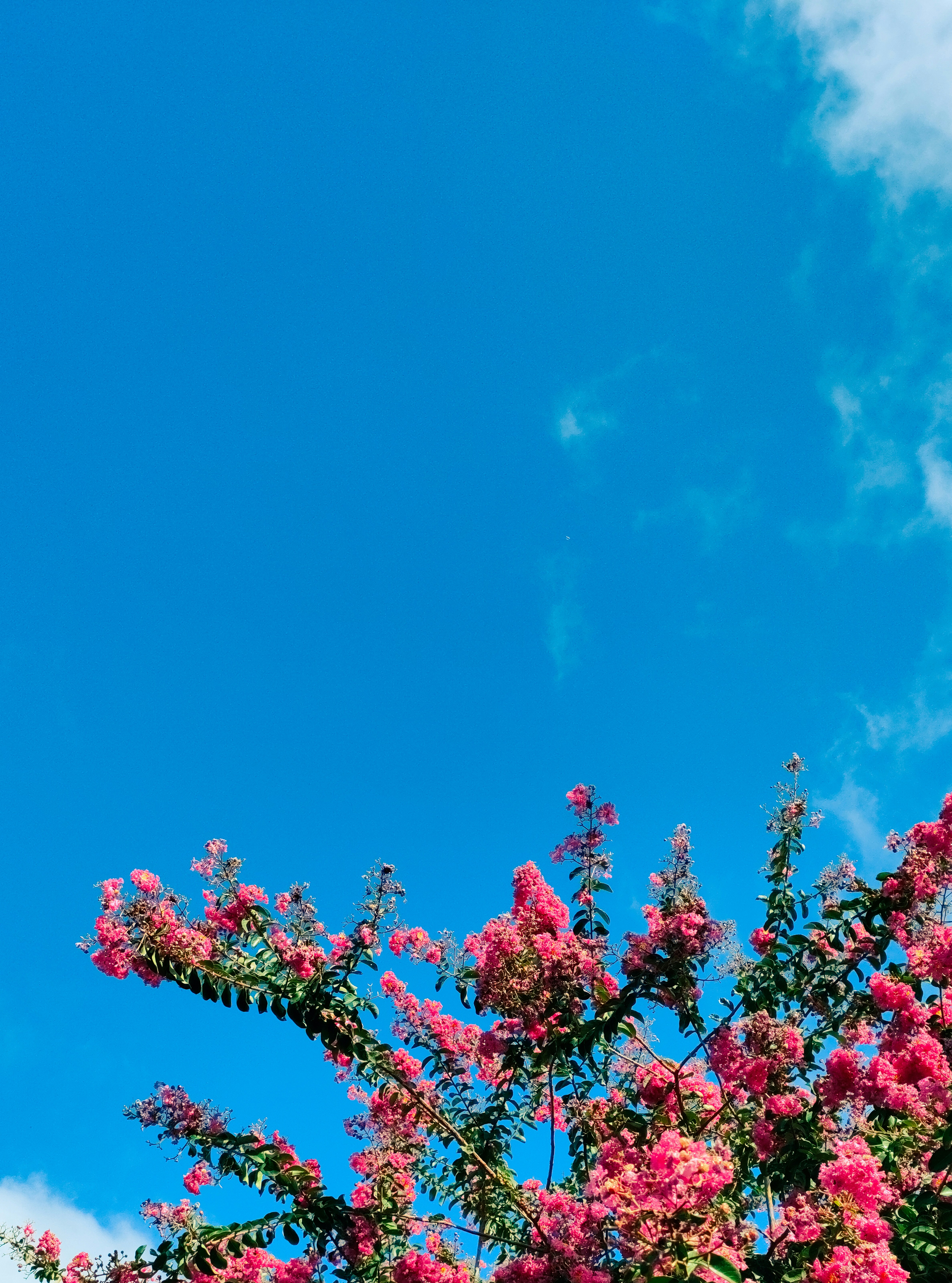 Photo by ricardovergilio