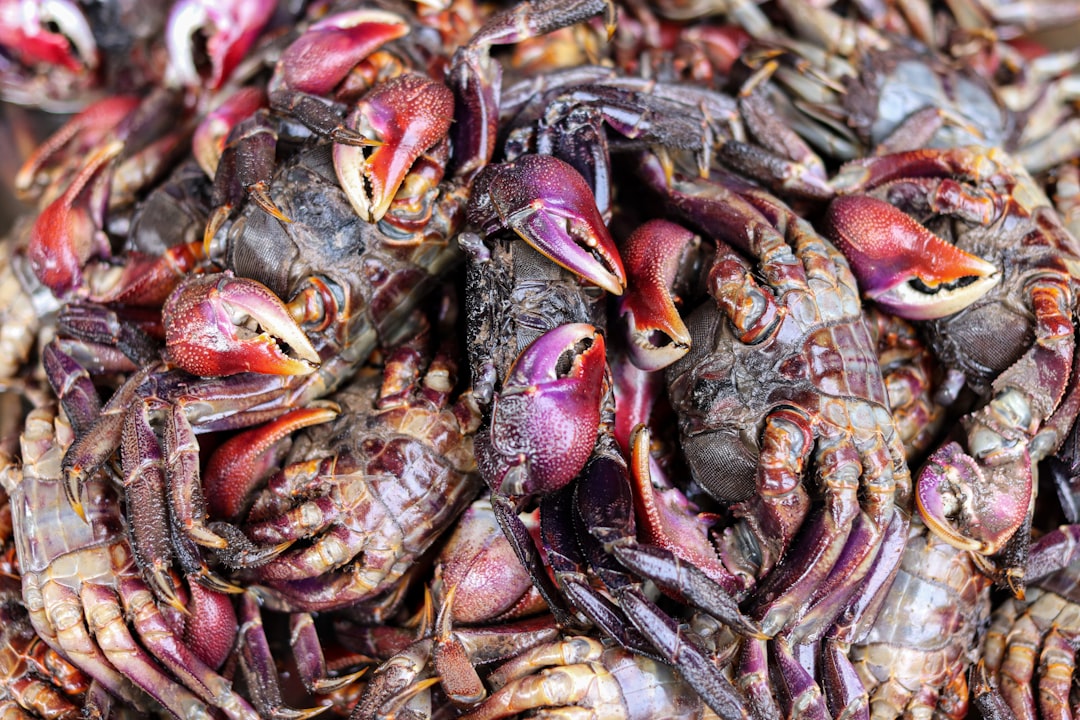 seafood in Vietnam