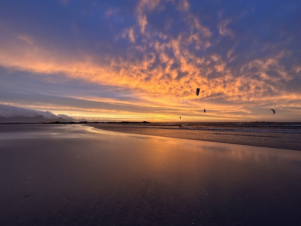 Una vista del atardecer de una playa con cometas volando en el cielo