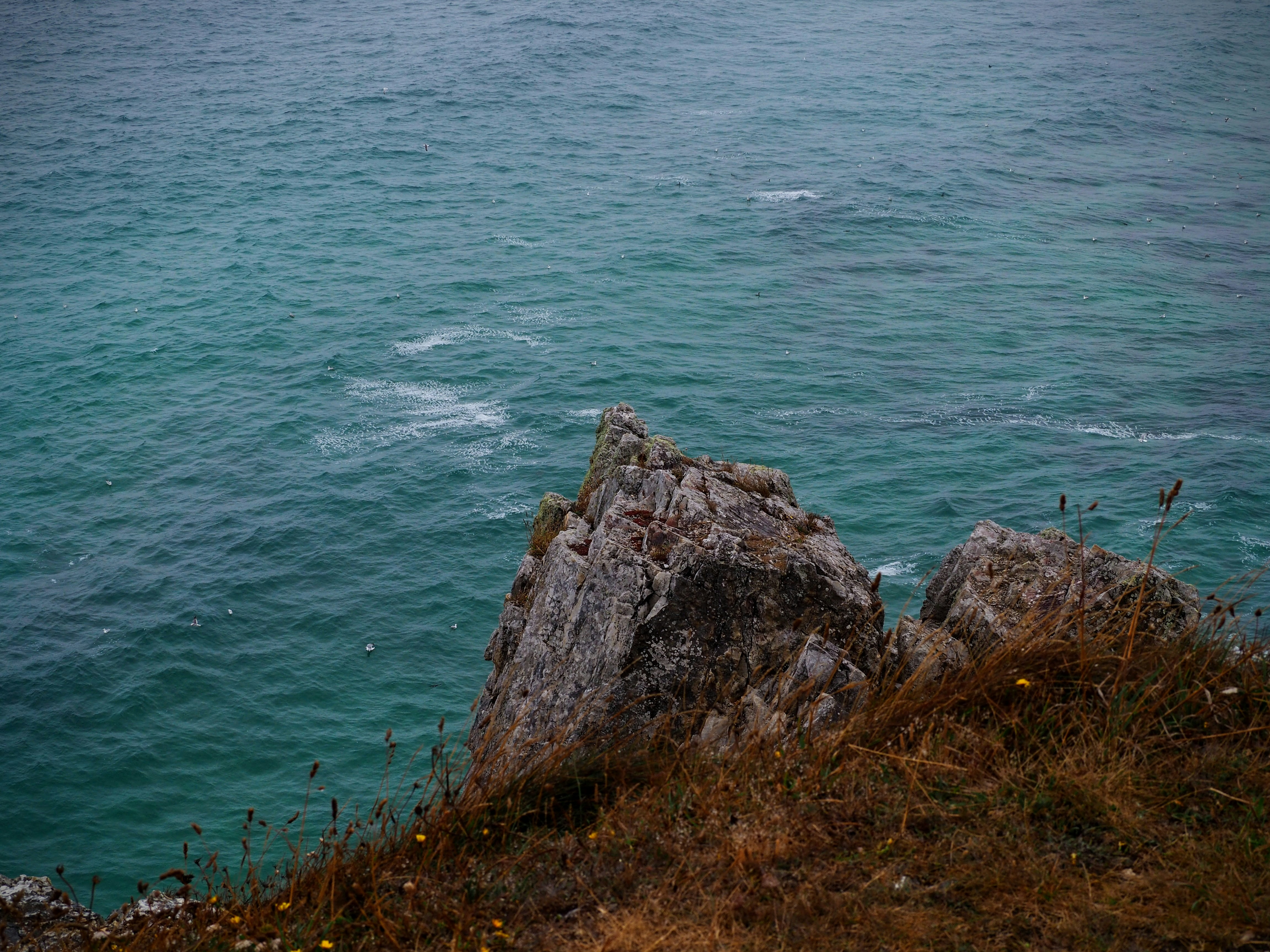 Photo by benji_da_vinci