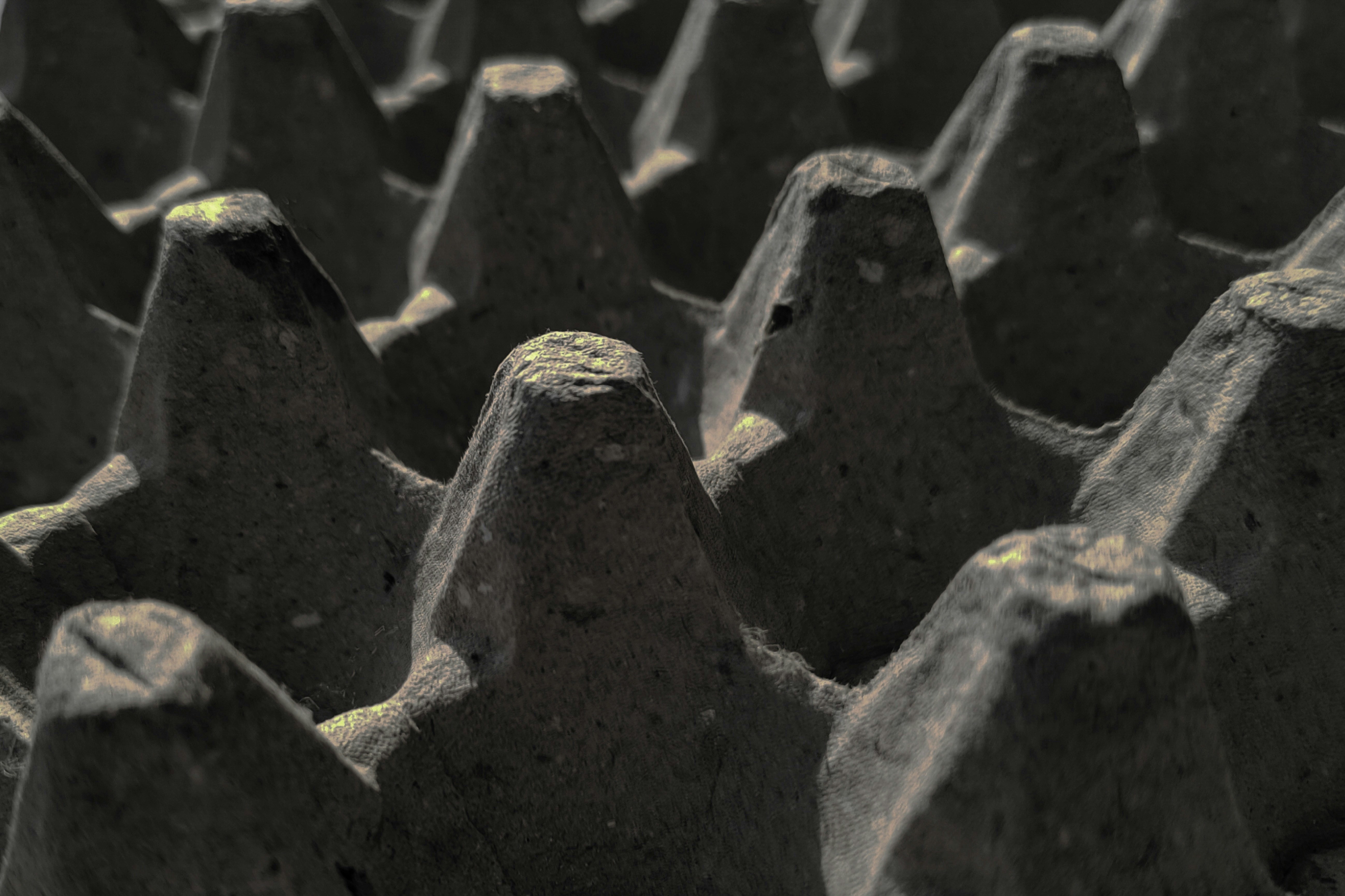 Photo by mohammad_dilshad23