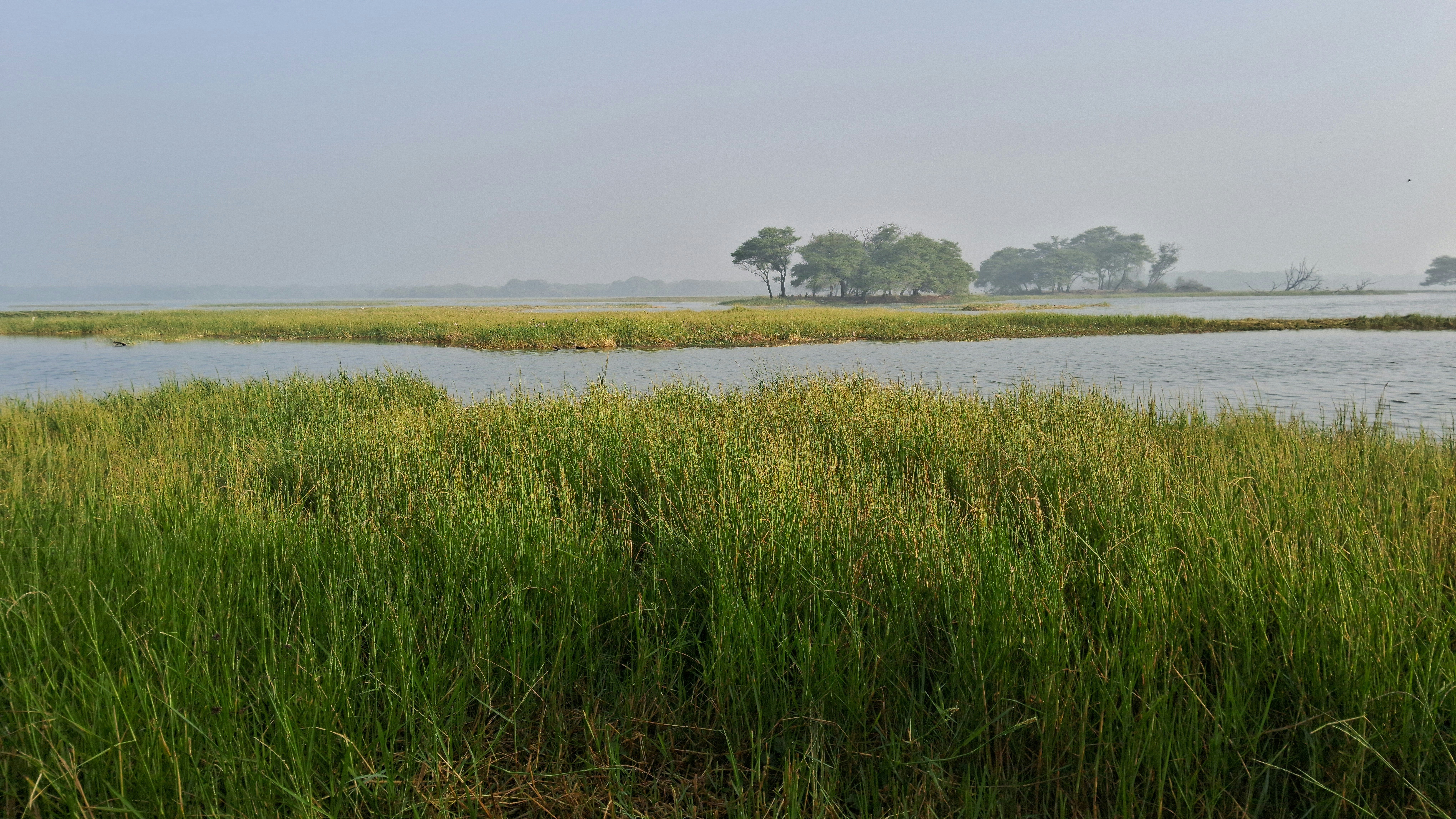 Photo by urban_leg3nd