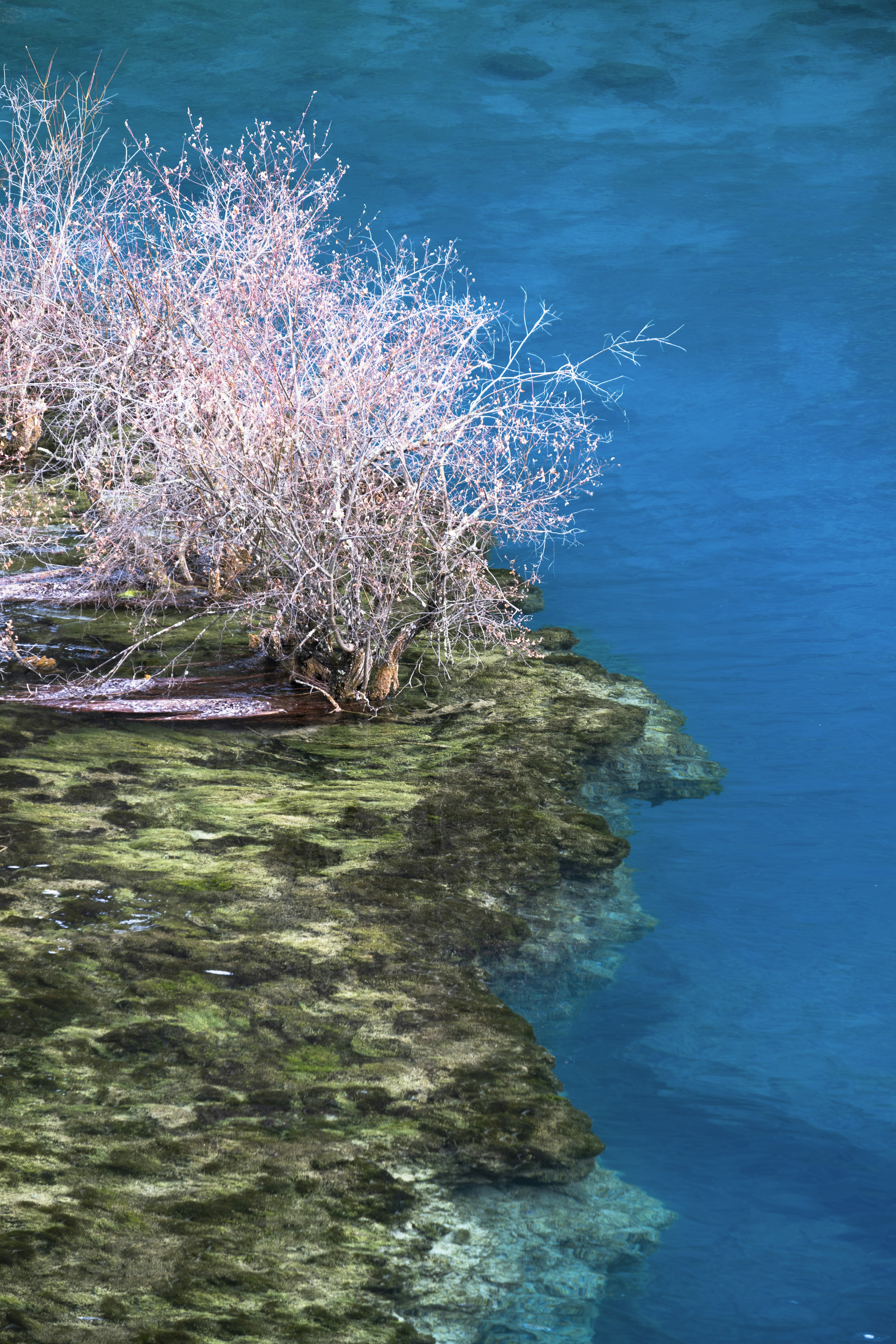 Photo by wenhao_ruan