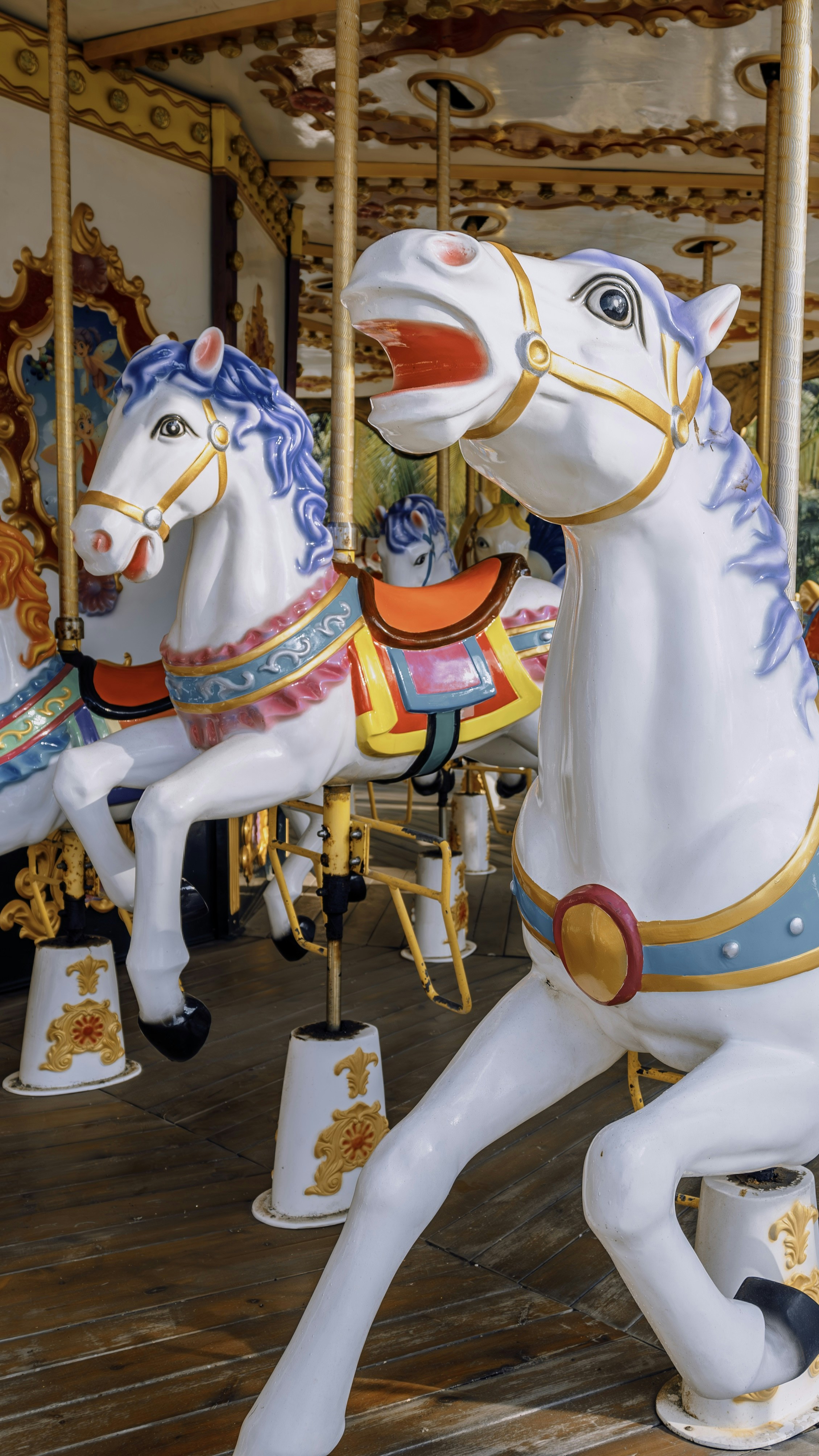 Photo by wangbinghua