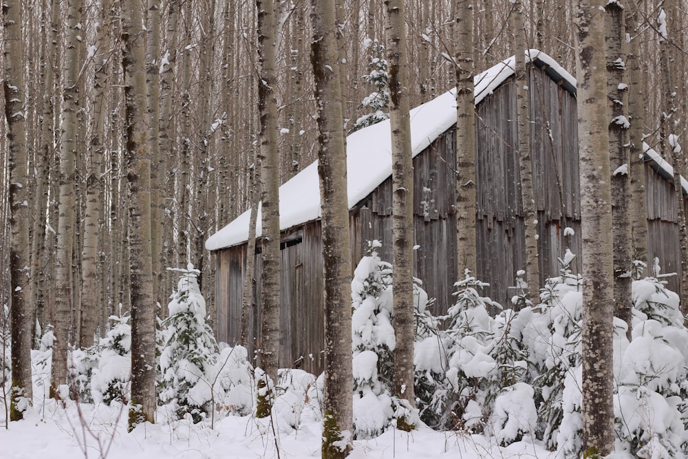 a cabin in the woods covered in snow