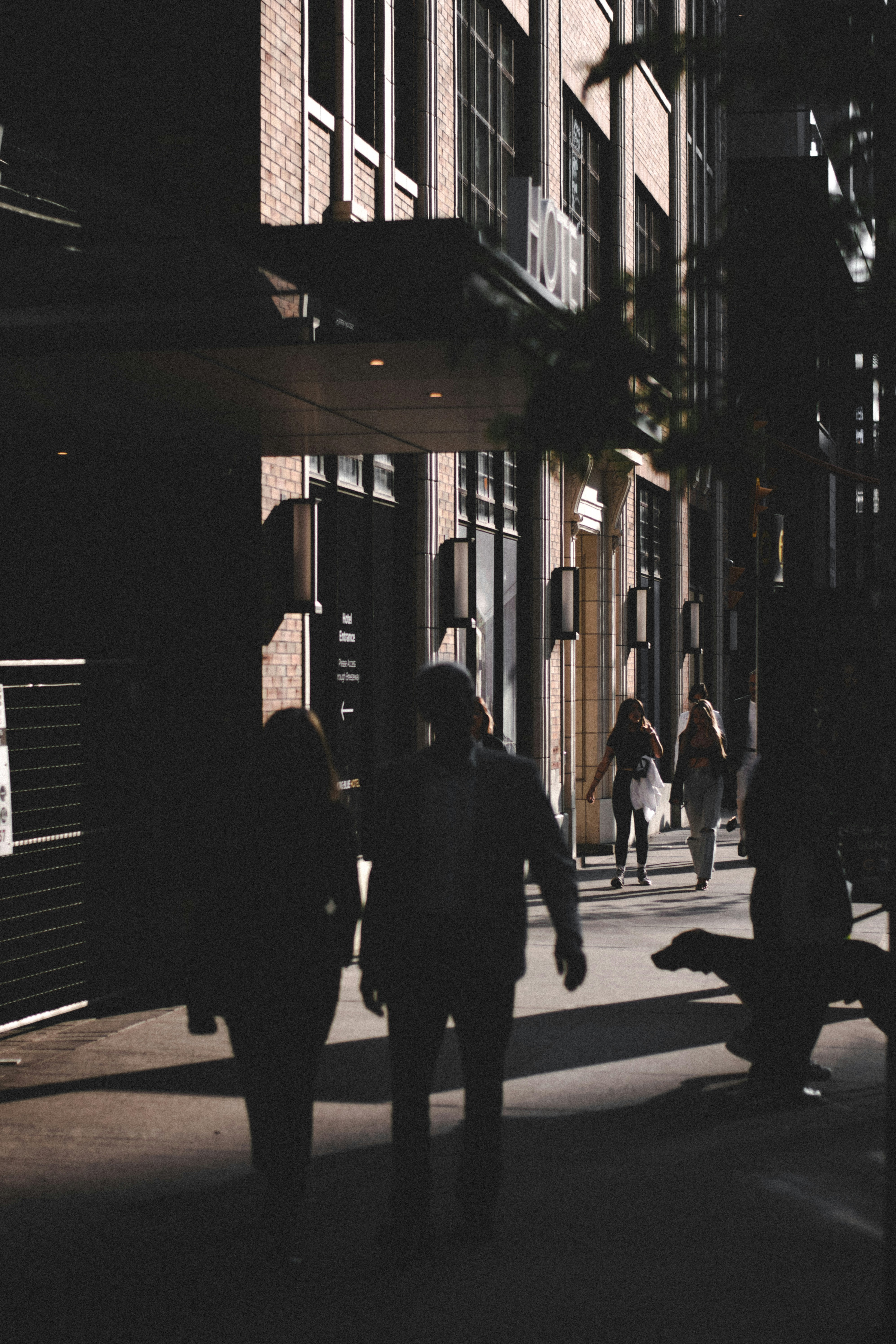 Photo by alisedighmoghadam