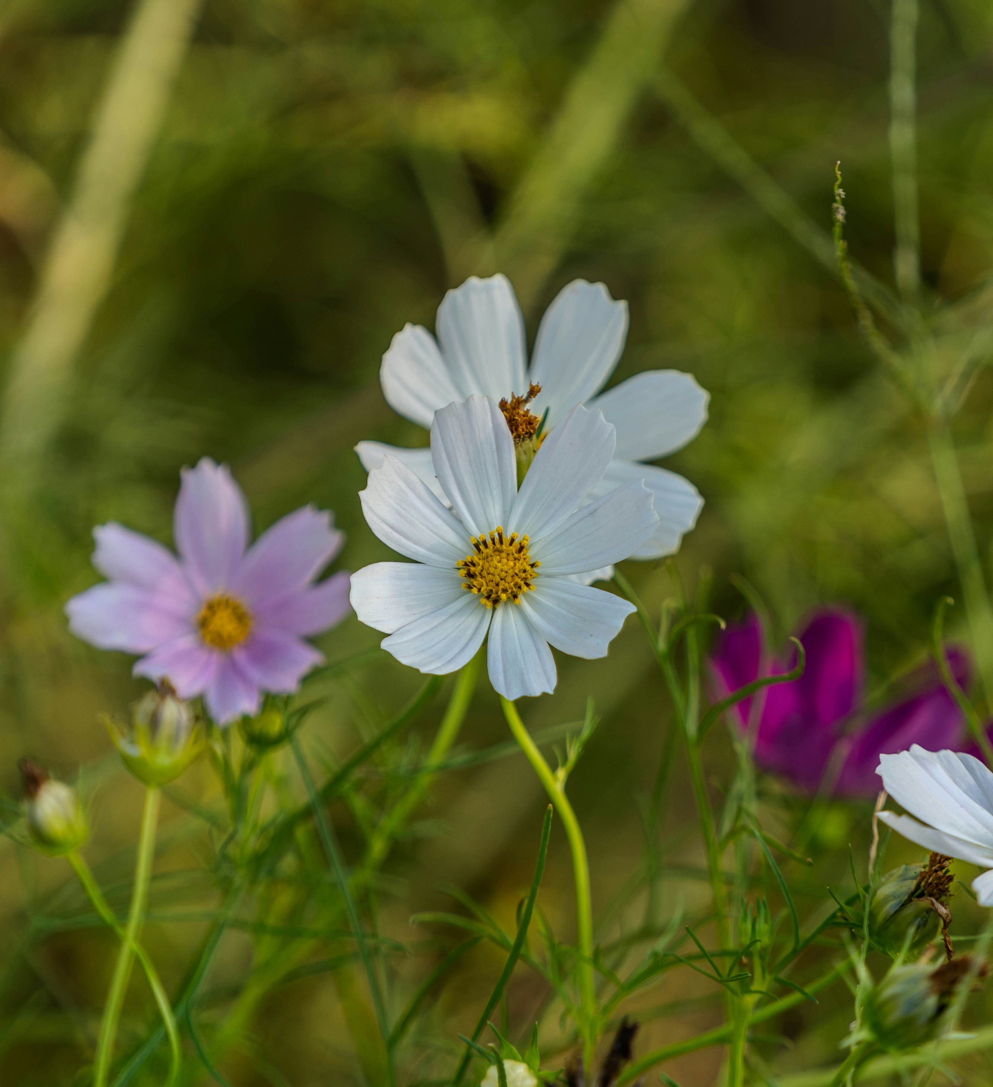 Photo by mrthetkhine