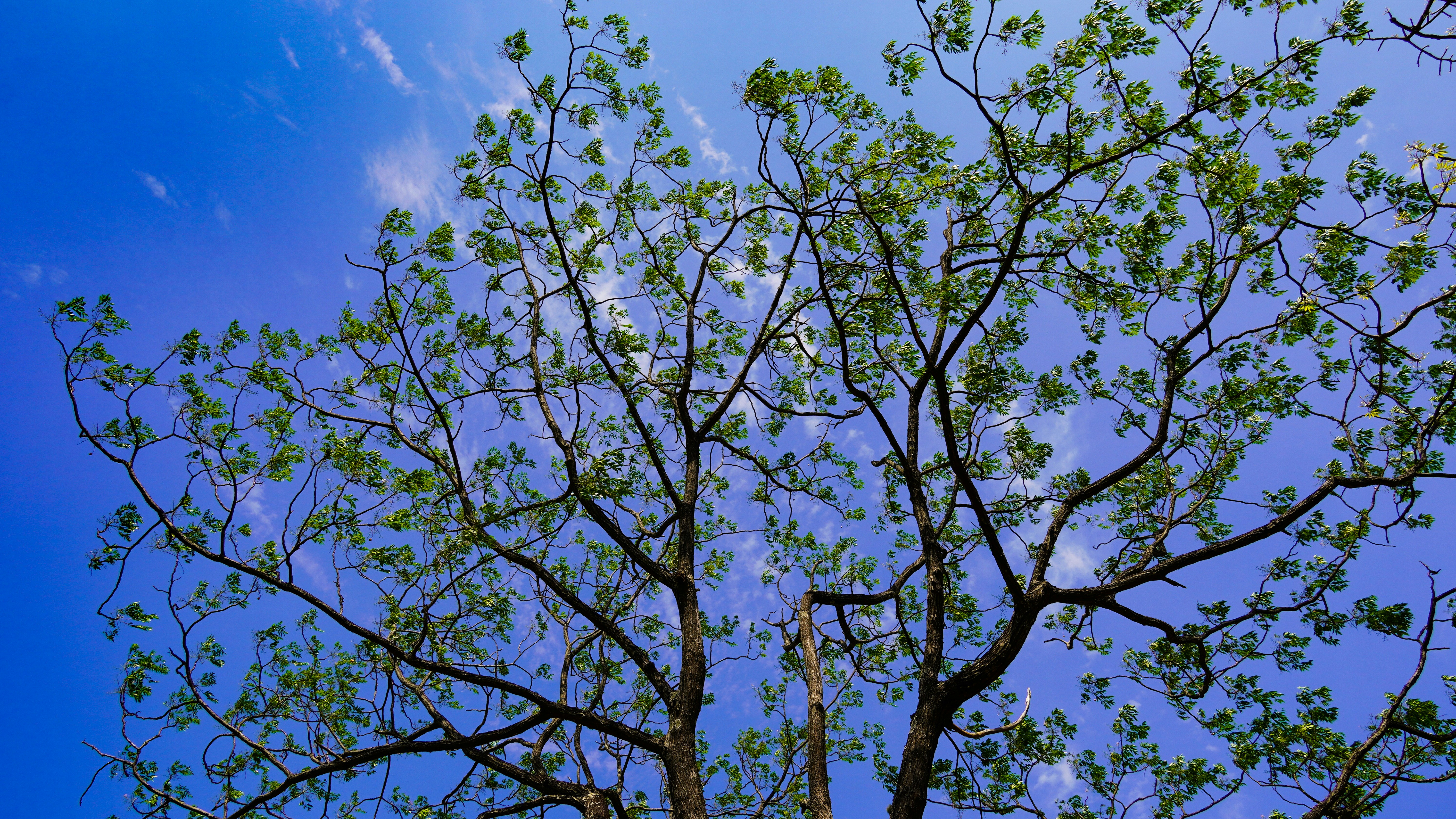 Photo by rupeshjaiswal00