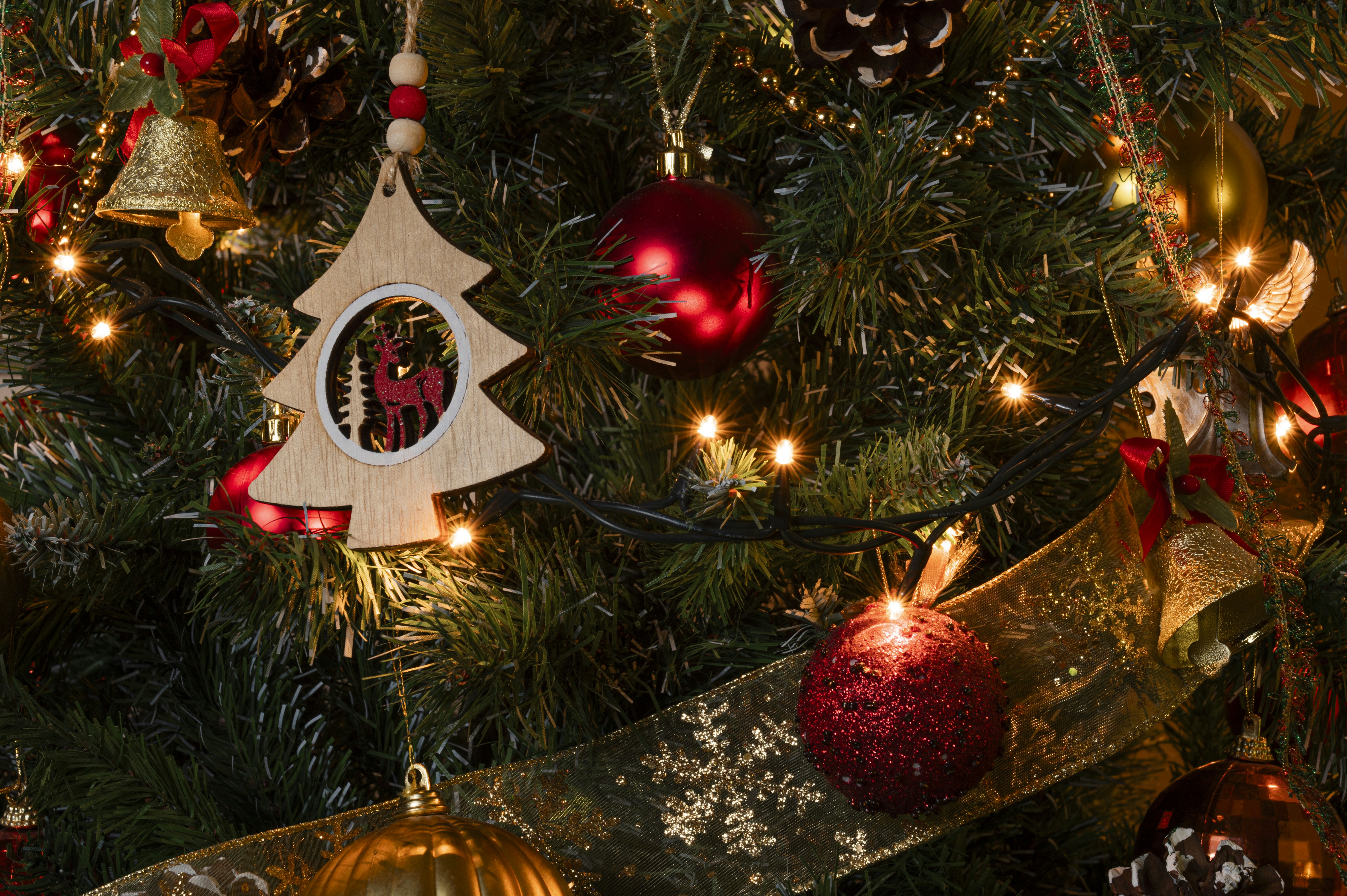 Photo by nick_tiam_photography