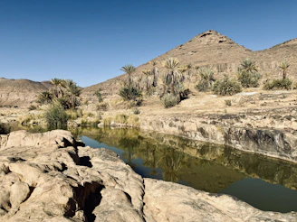 Oasis d’Ihrir avec ses palmiers dans le Tassili n’Ajjer, Djanet, Algérie