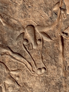 an animal carving on a rock wall