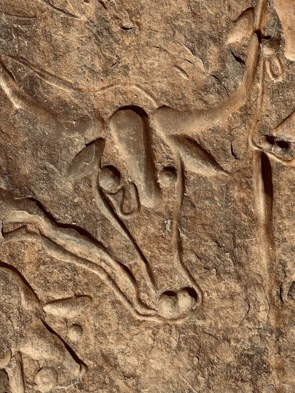 an animal carving on a rock wall