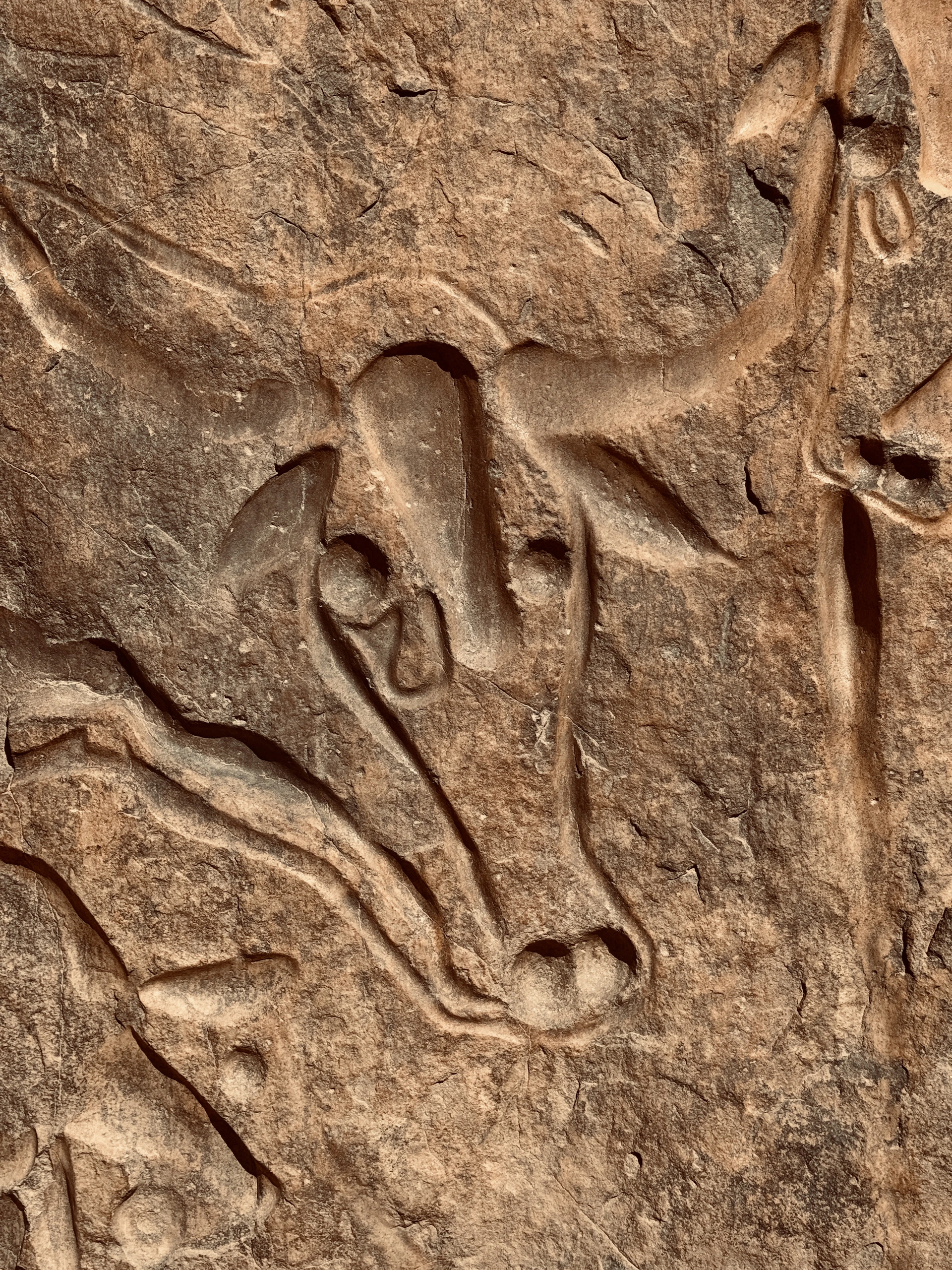an animal carving on a rock wall