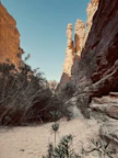 a narrow  canyon in the desert with rocks and plants
