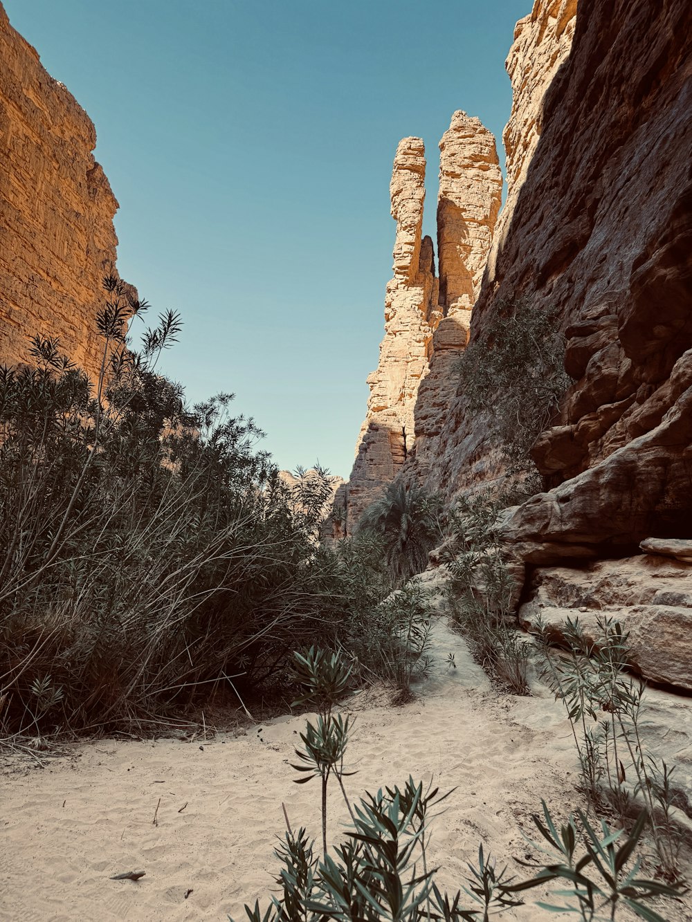 a narrow canyon in the desert with rocks and plants