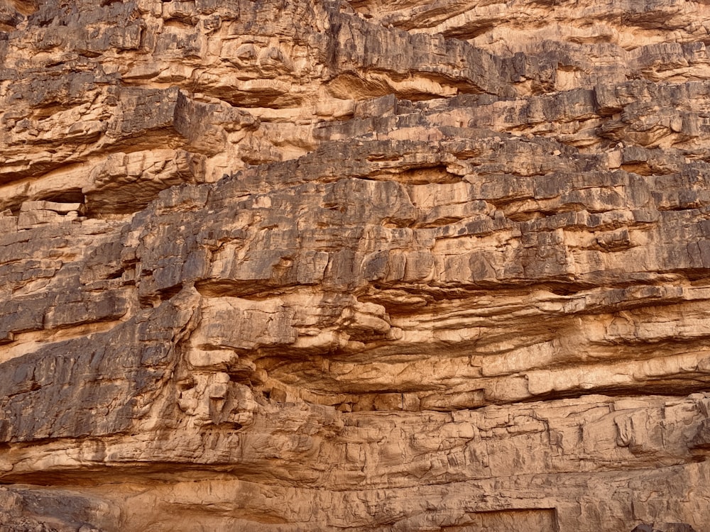 a rock face with a bird perched on top of it