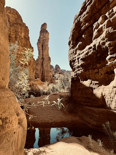 Essendilène canyon with vegetation and a guelta under the open sky.