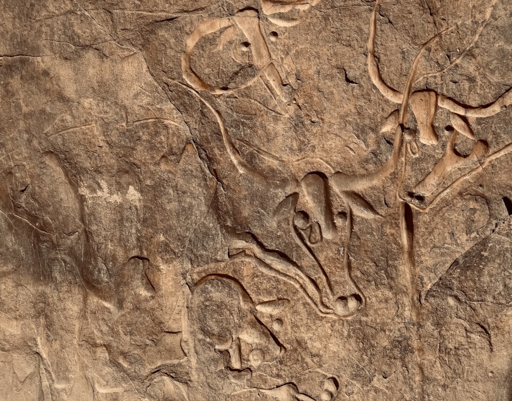 a close up of a rock wall with carvings on it