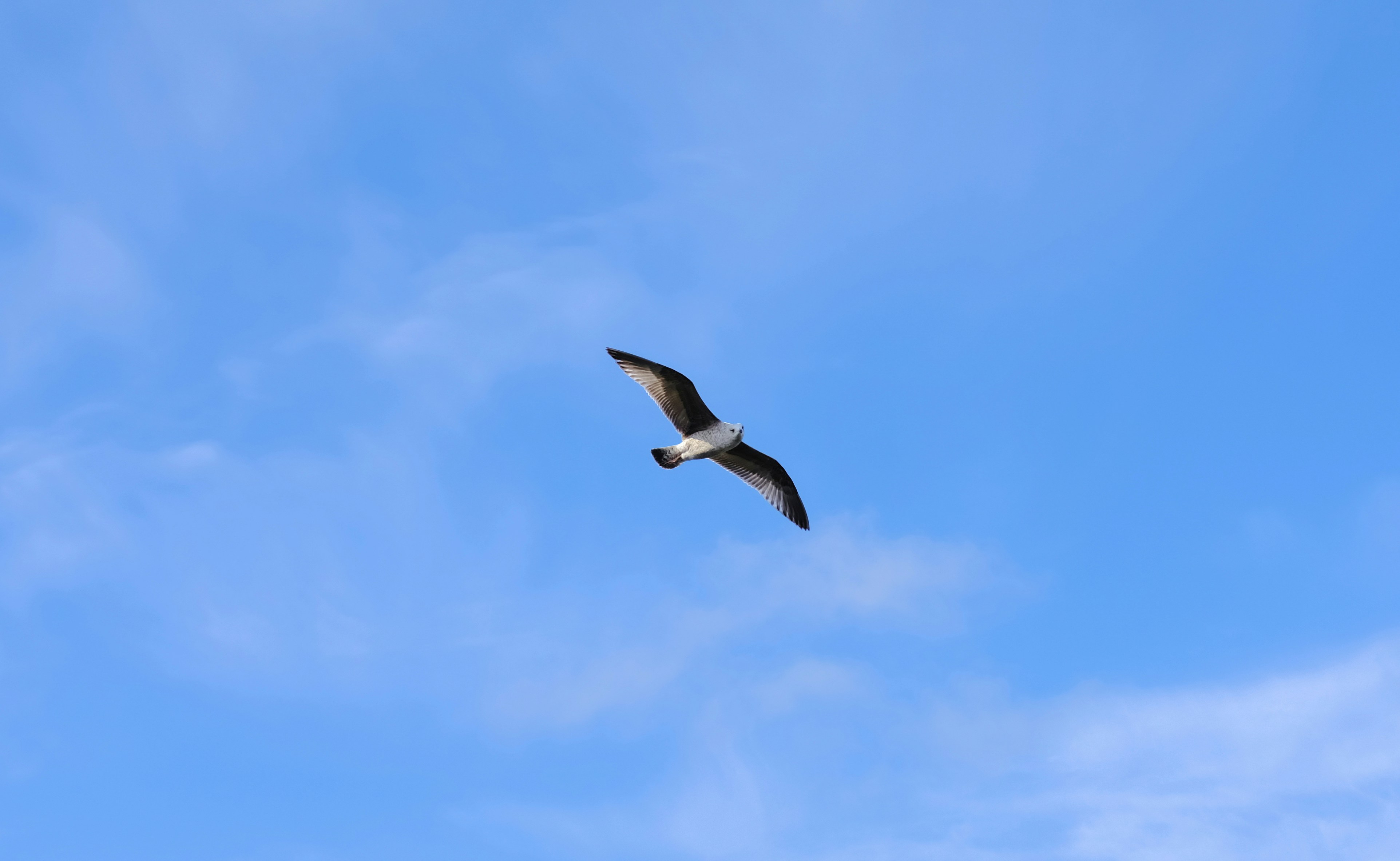 Photo by louiescott1999