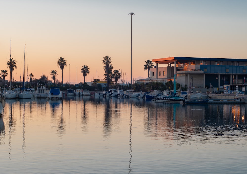 a marina filled with lots of boats and palm trees