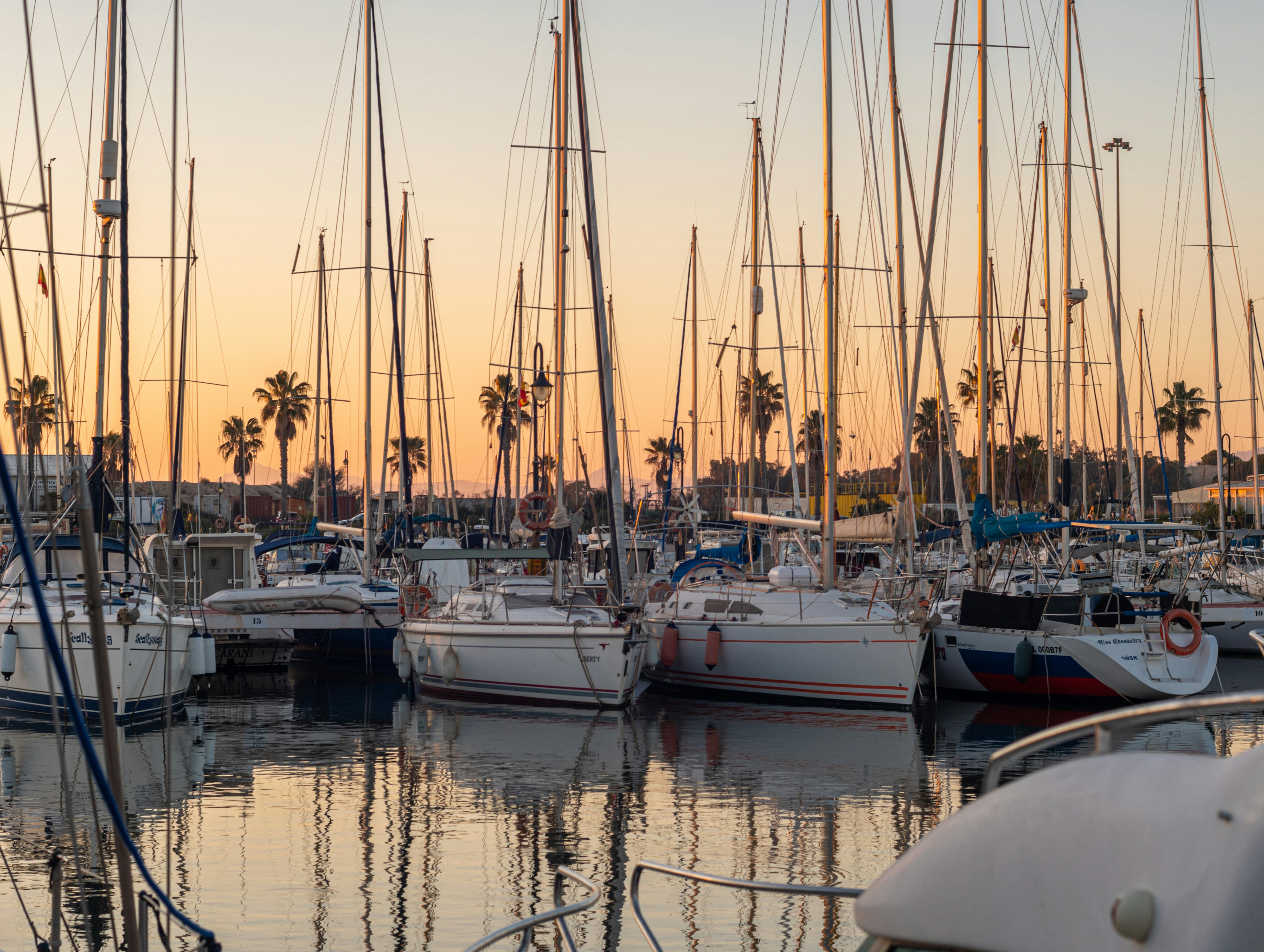 Landmark · a group of sailboats docked at a marina