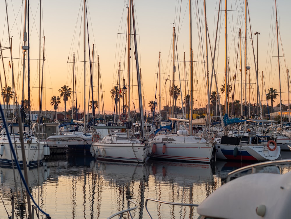 a group of sailboats docked at a marina