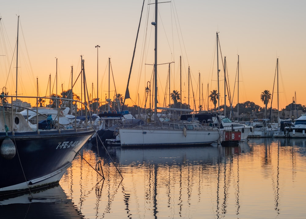 a harbor filled with lots of boats at sunset