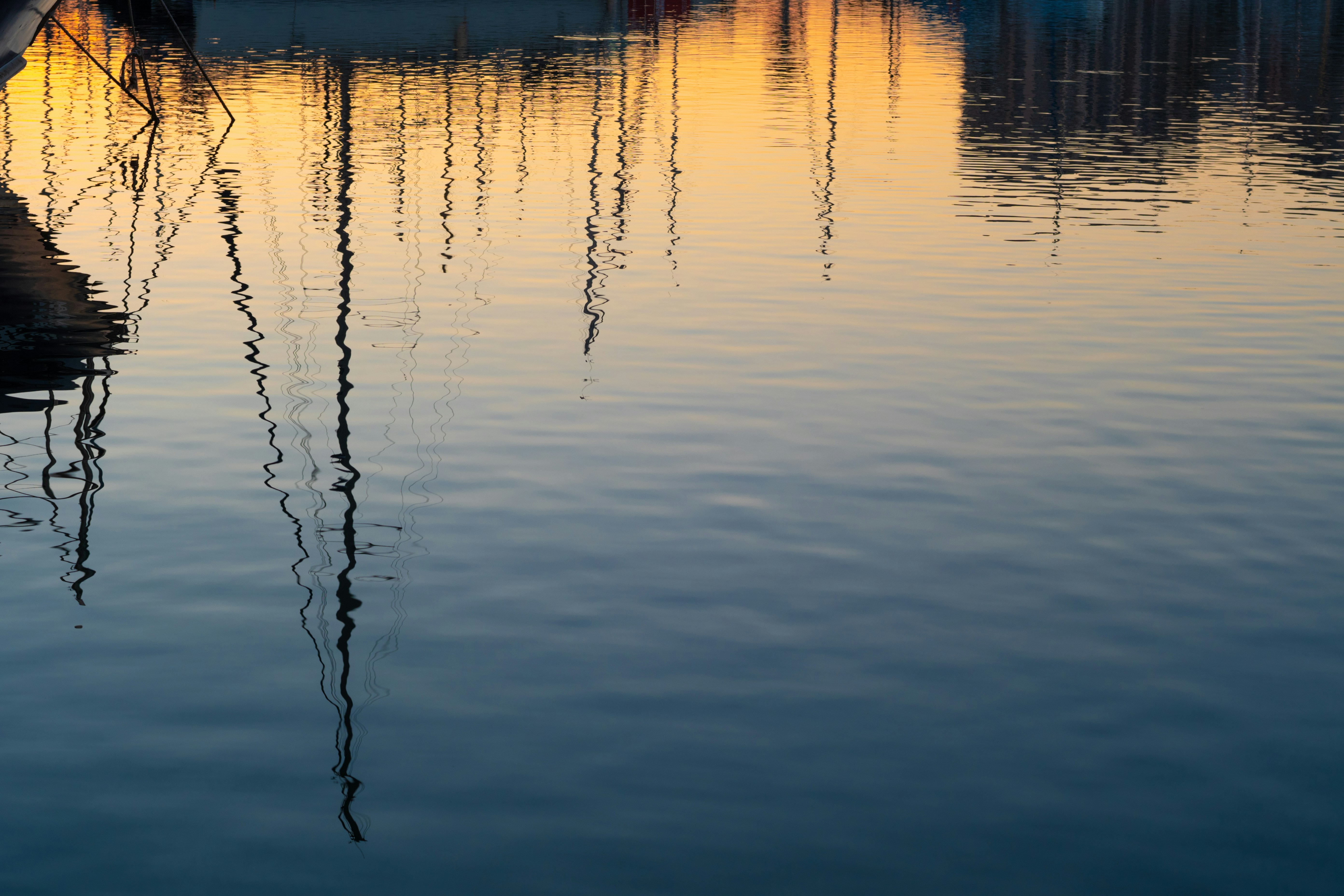 Photo by nataliaraylenegusakova