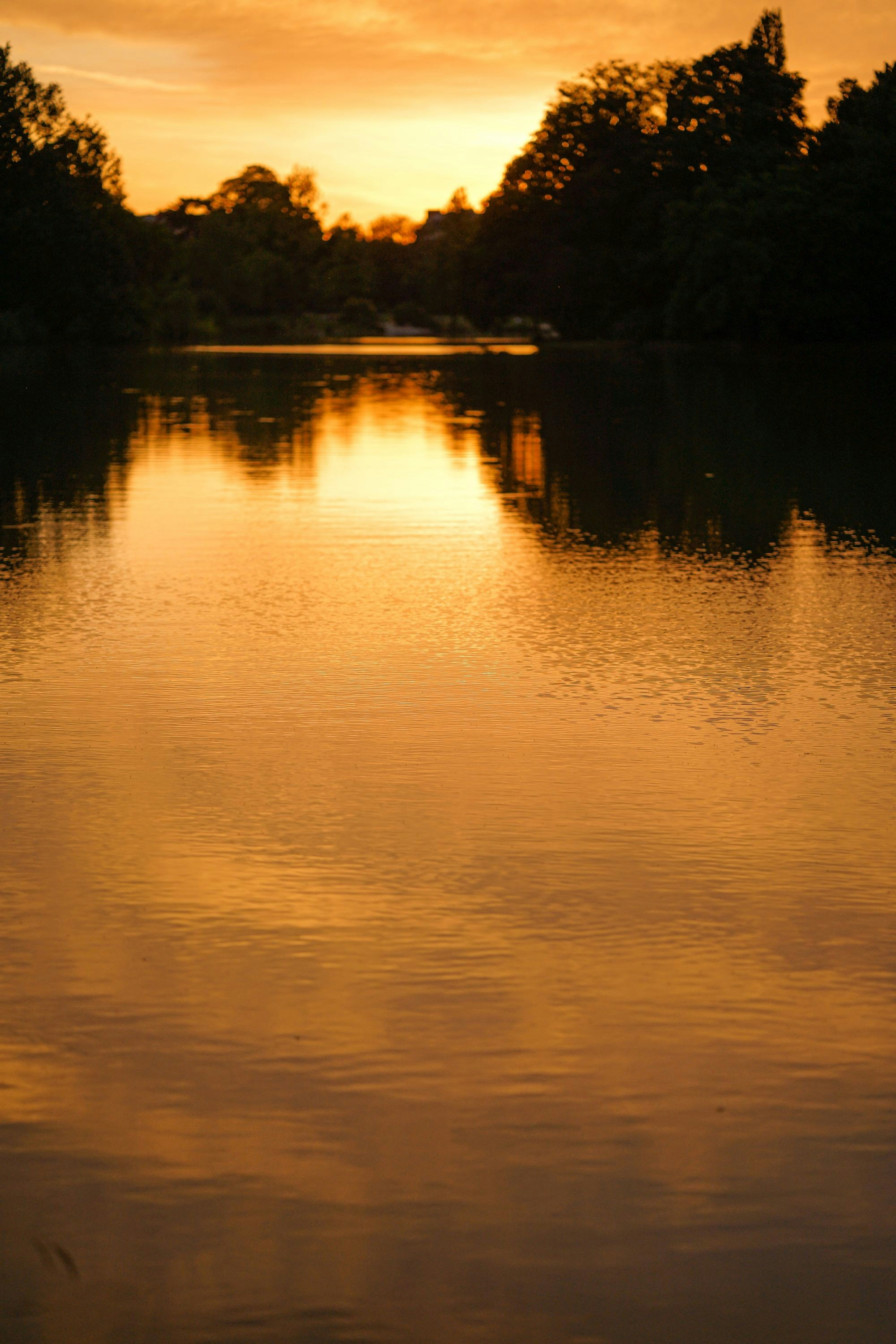 Photo by ambroisenicolao