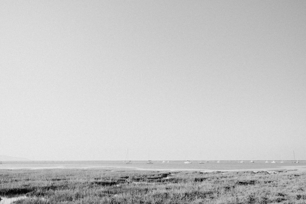 ein Schwarz-Weiß-Foto eines Strandes