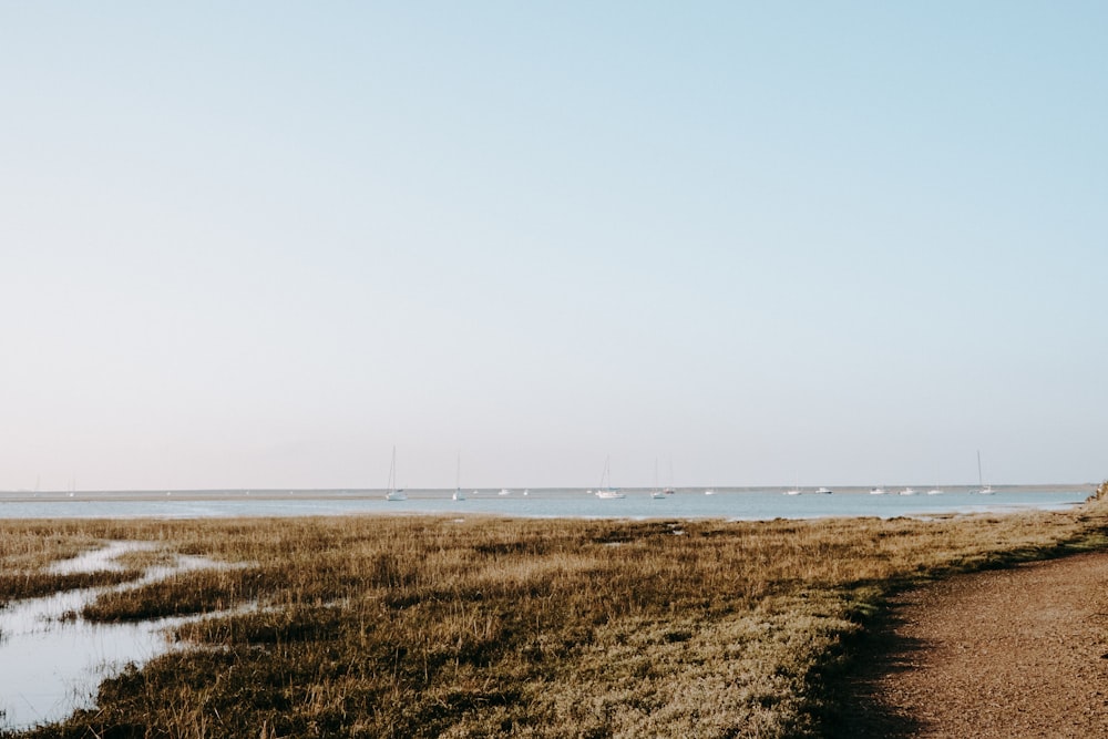 a dirt path leading to a body of water