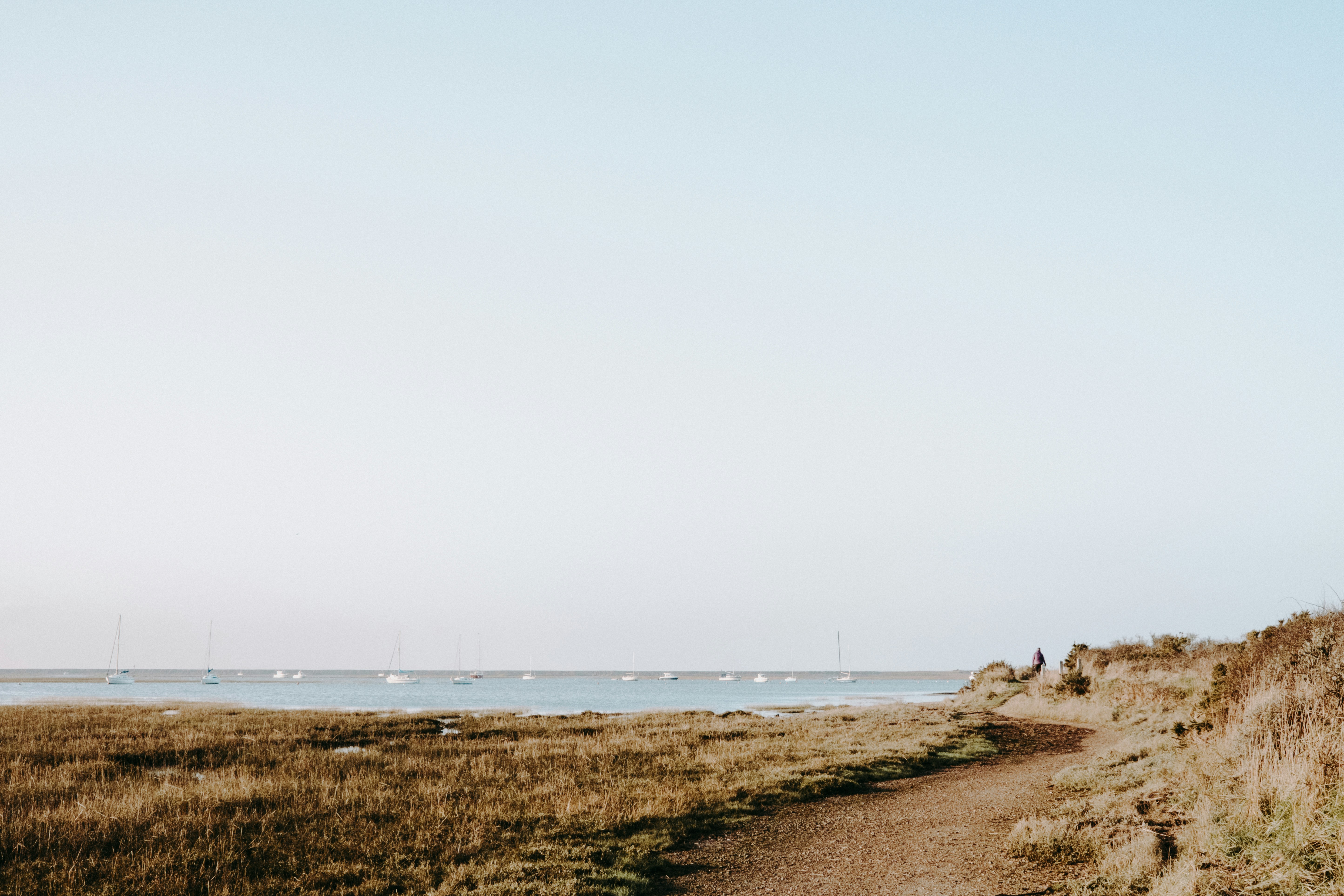 Photo by anniespratt