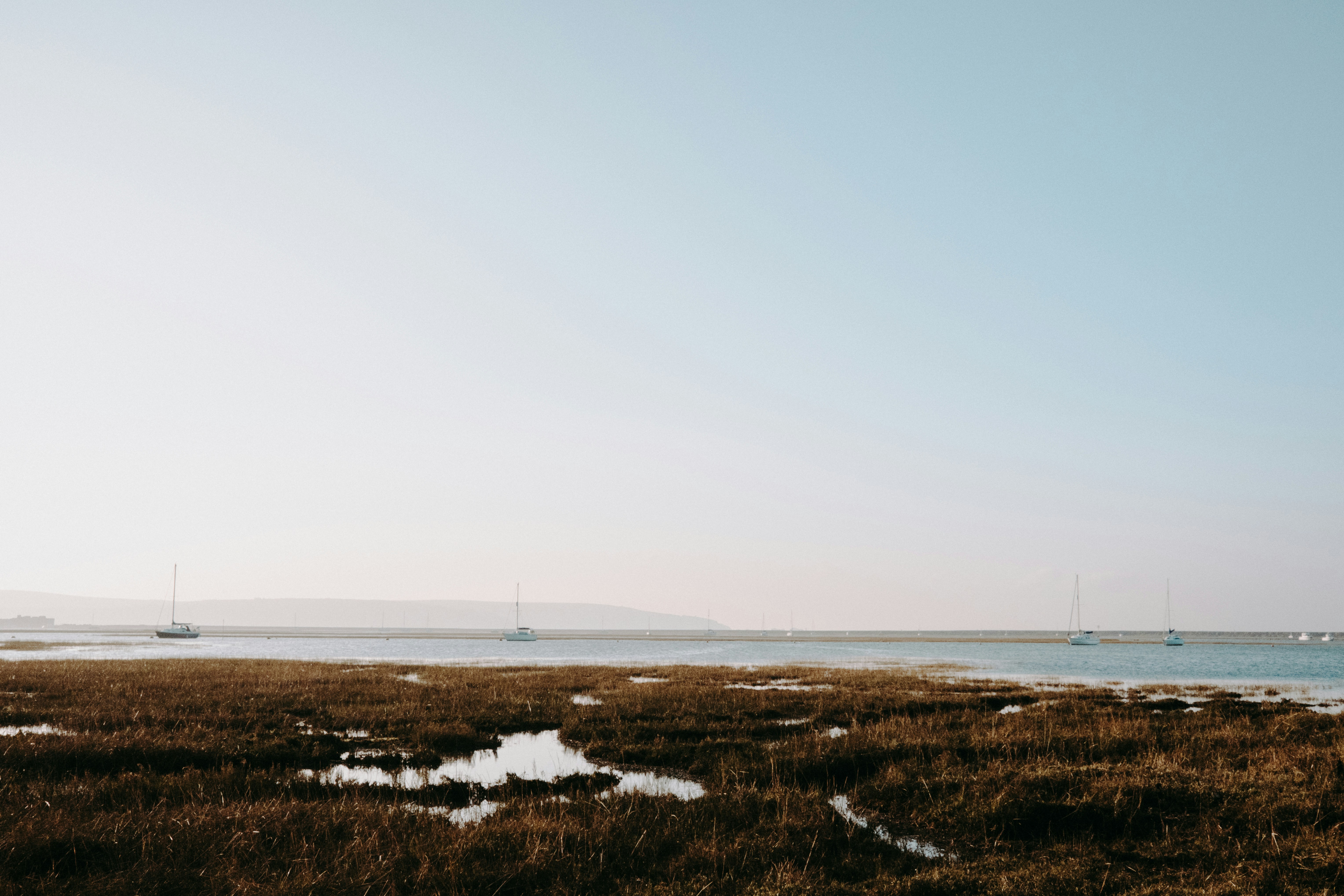 Photo by anniespratt