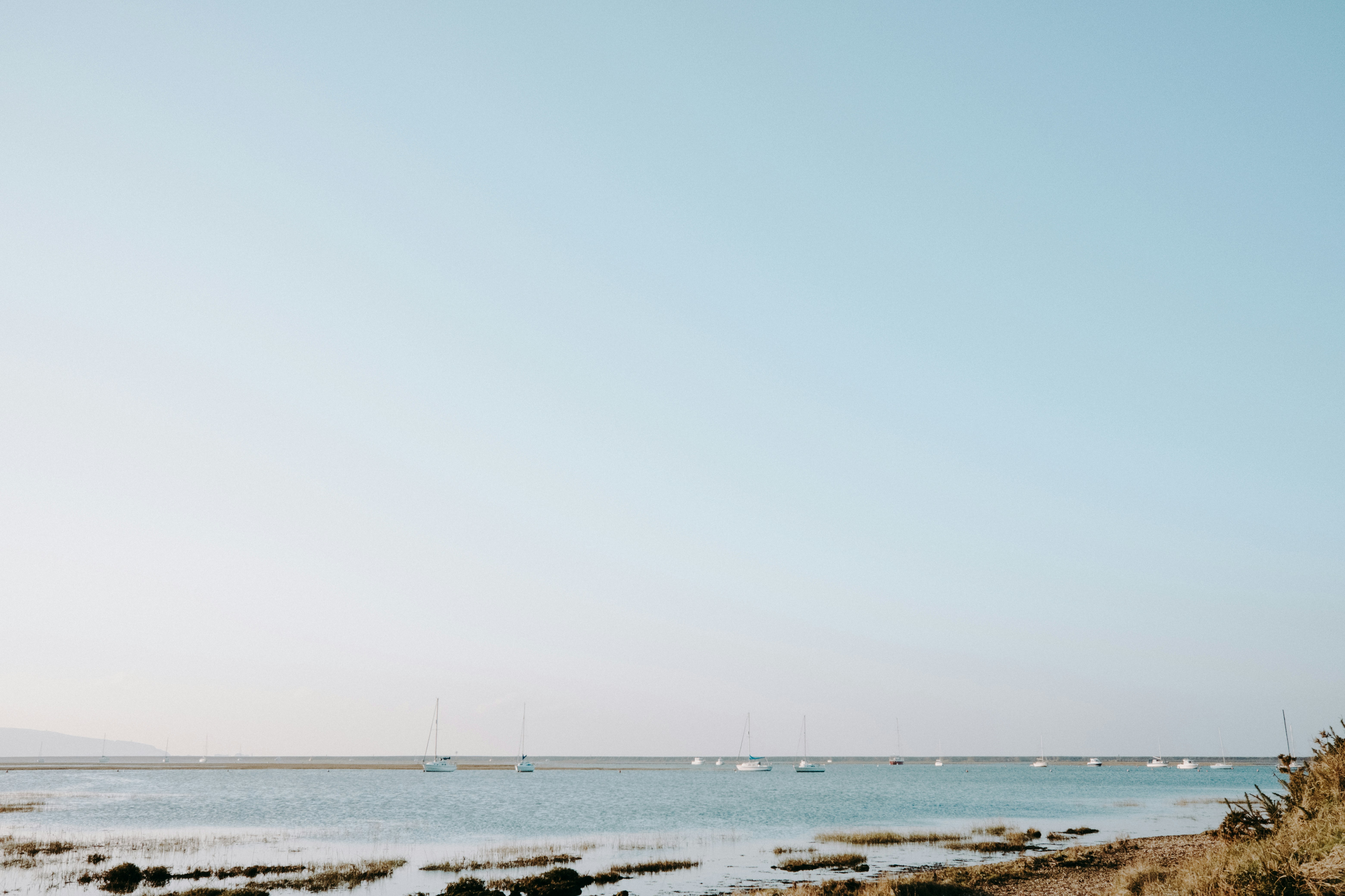 Photo by anniespratt