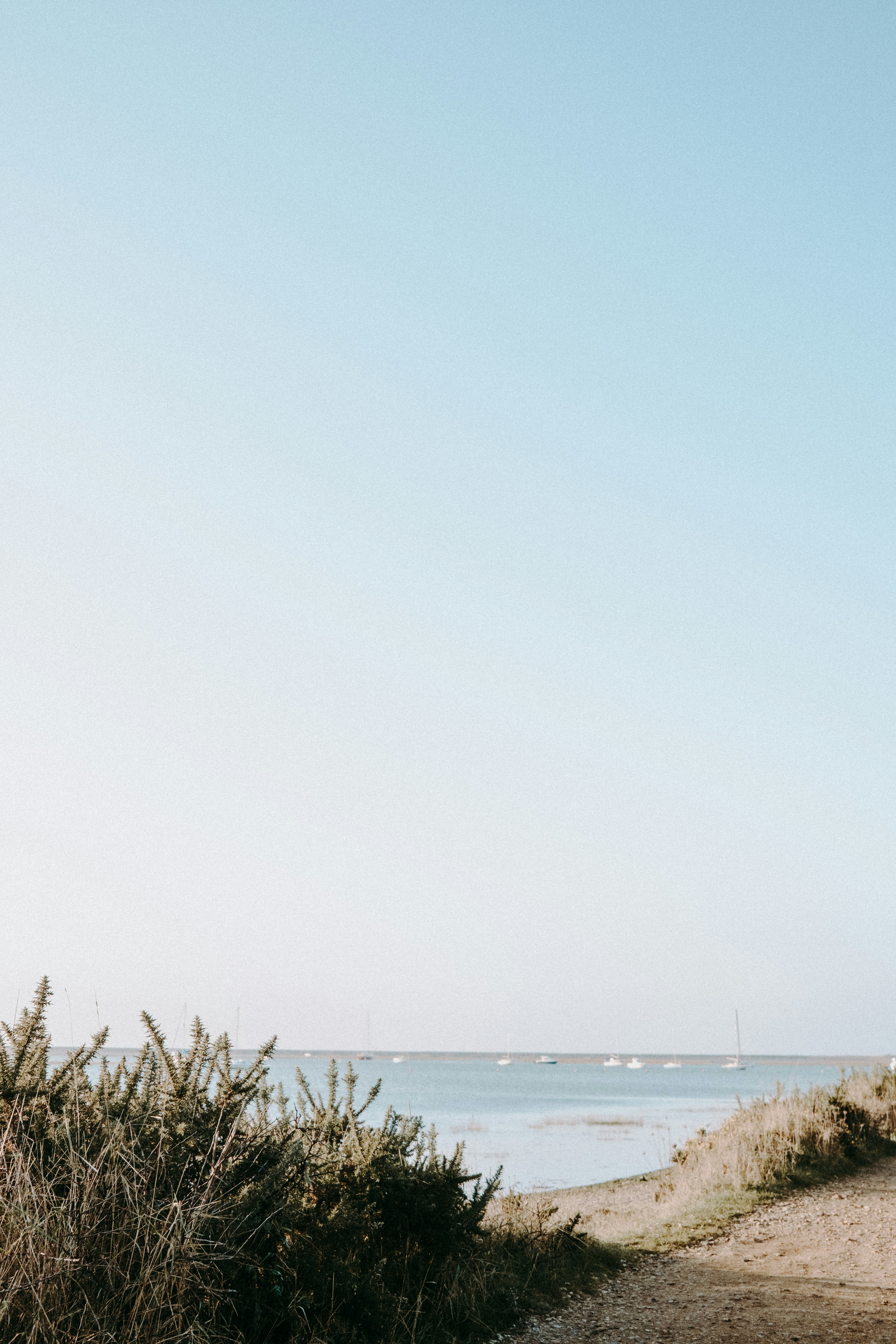 Photo by anniespratt