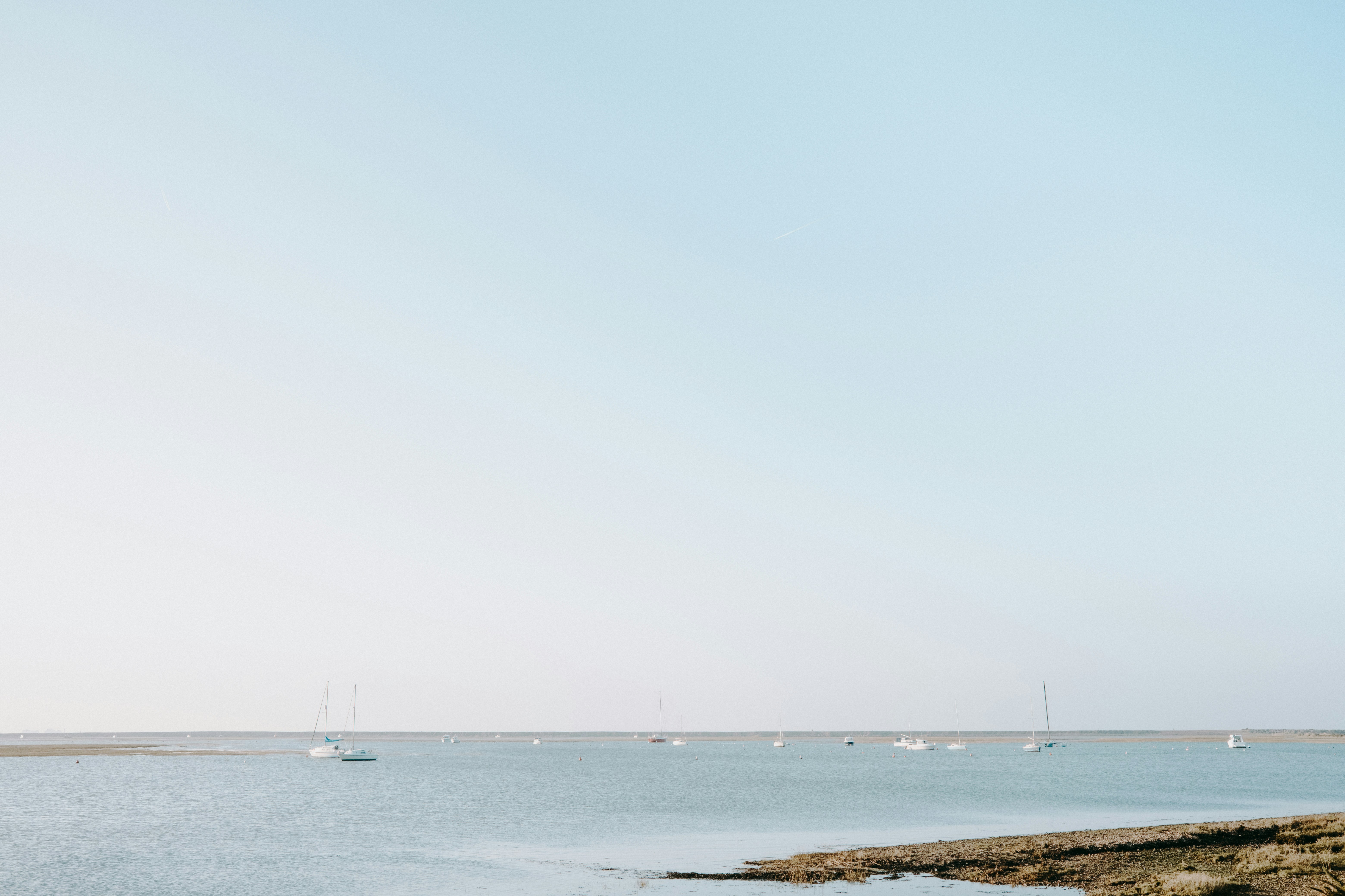 Photo by anniespratt