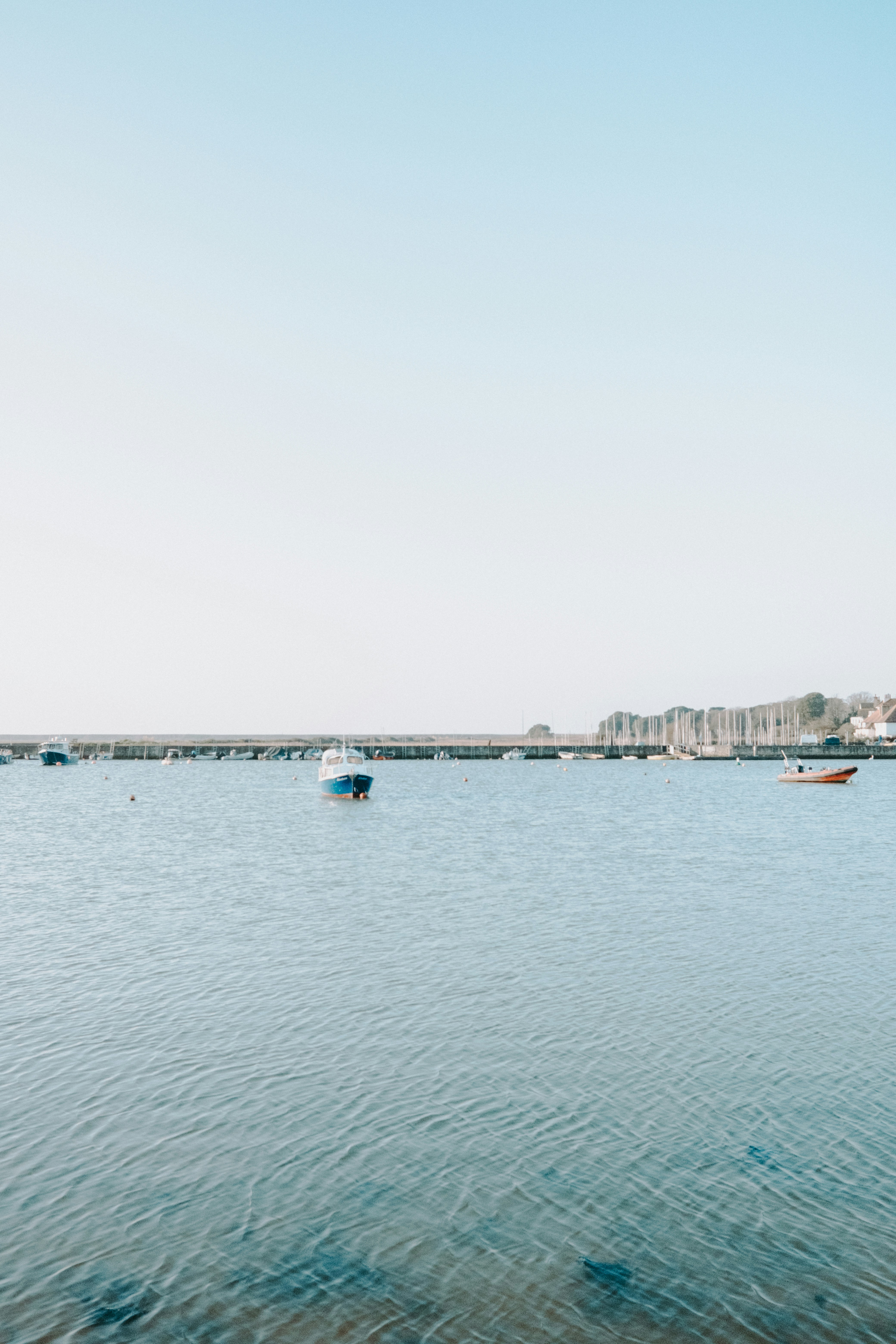 Photo by anniespratt