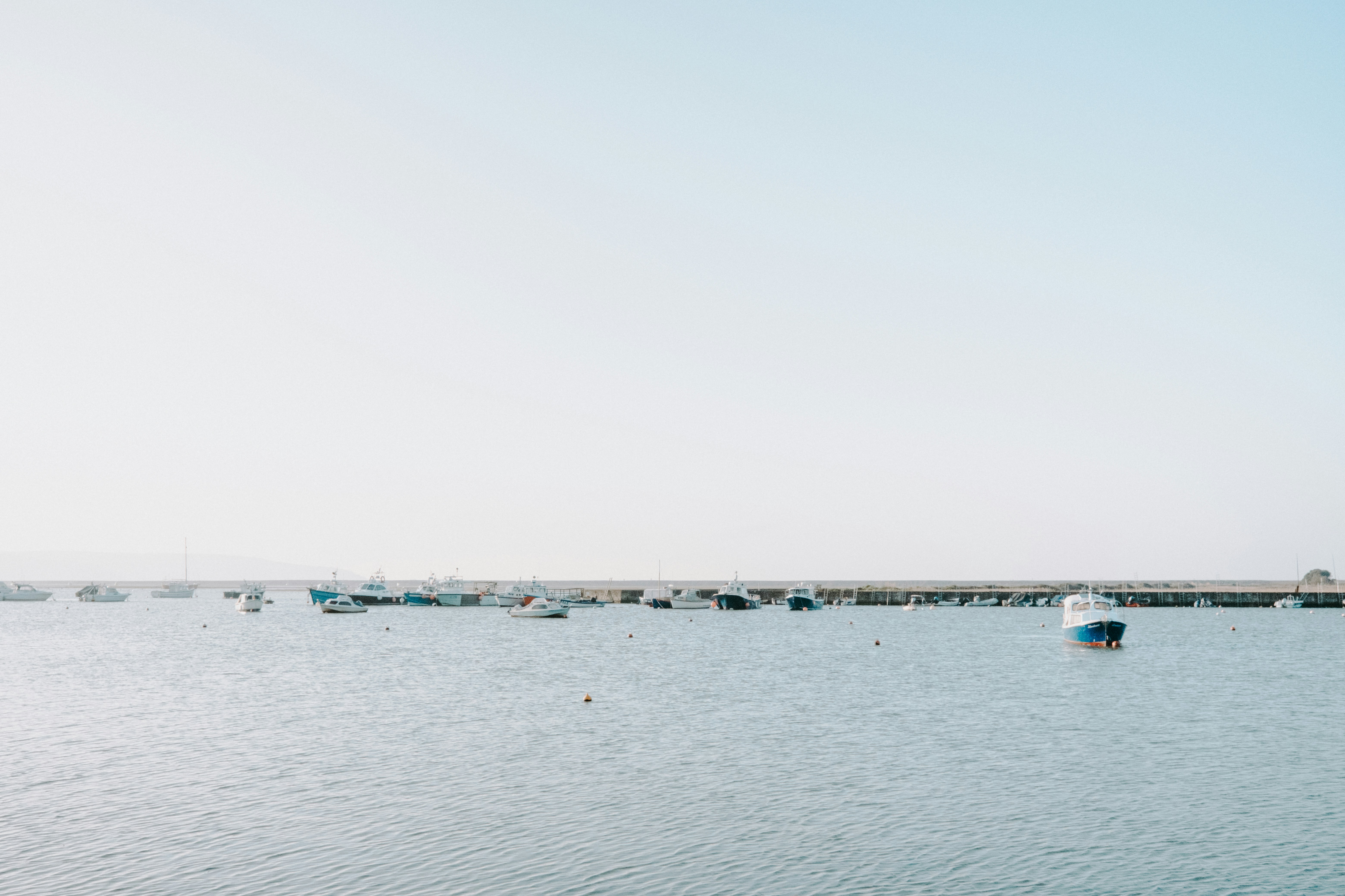 Photo by anniespratt