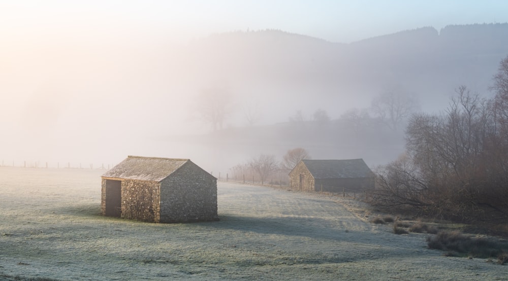 a foggy field with two barns in the distance