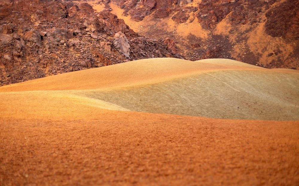 a desert landscape with a mountain in the background